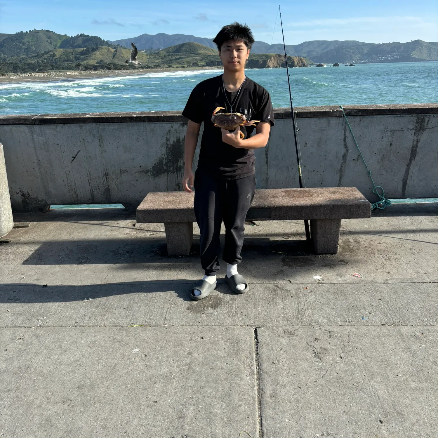 The most recent Dungeness crab catches on Fishbrain