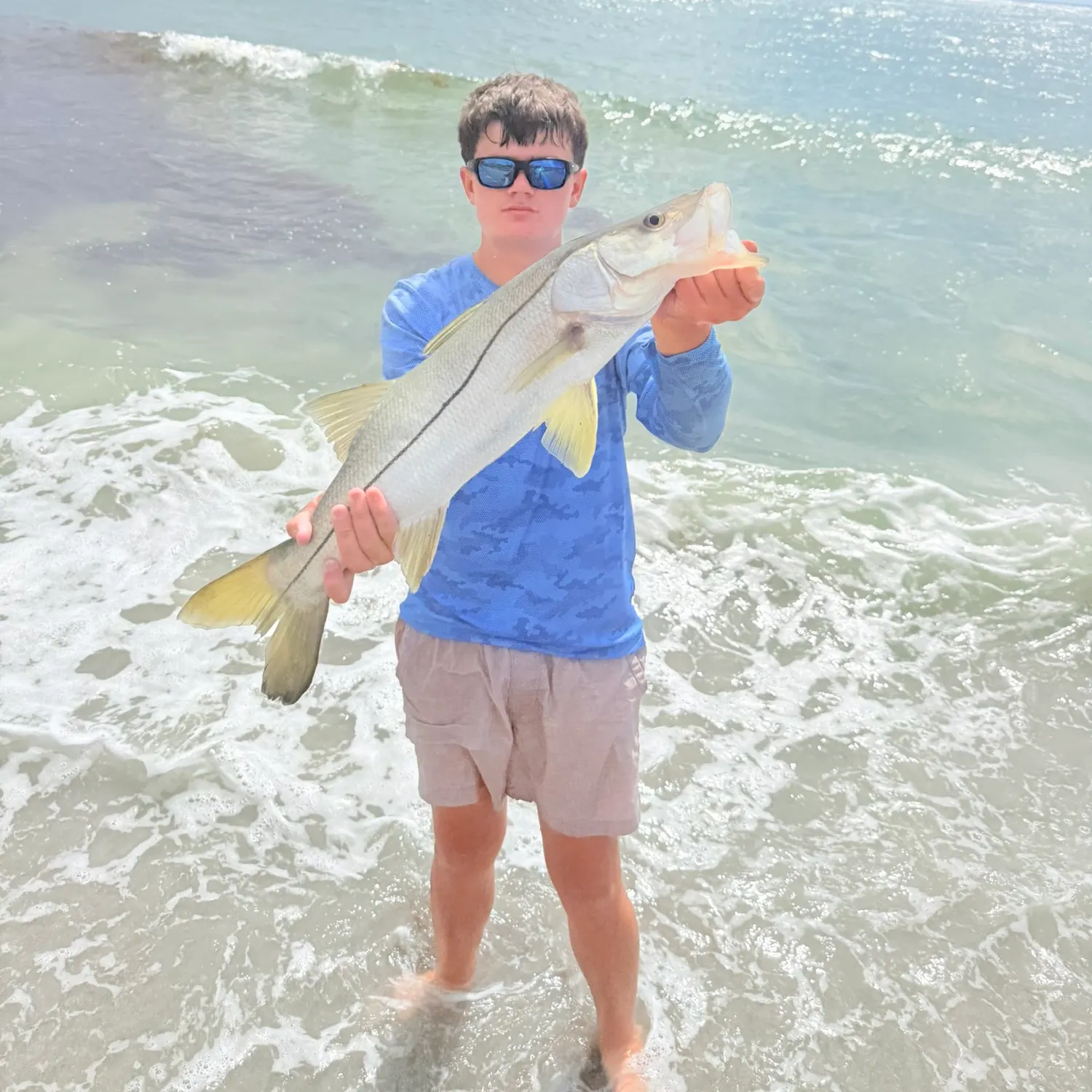 Common snook caught on Fishbrain