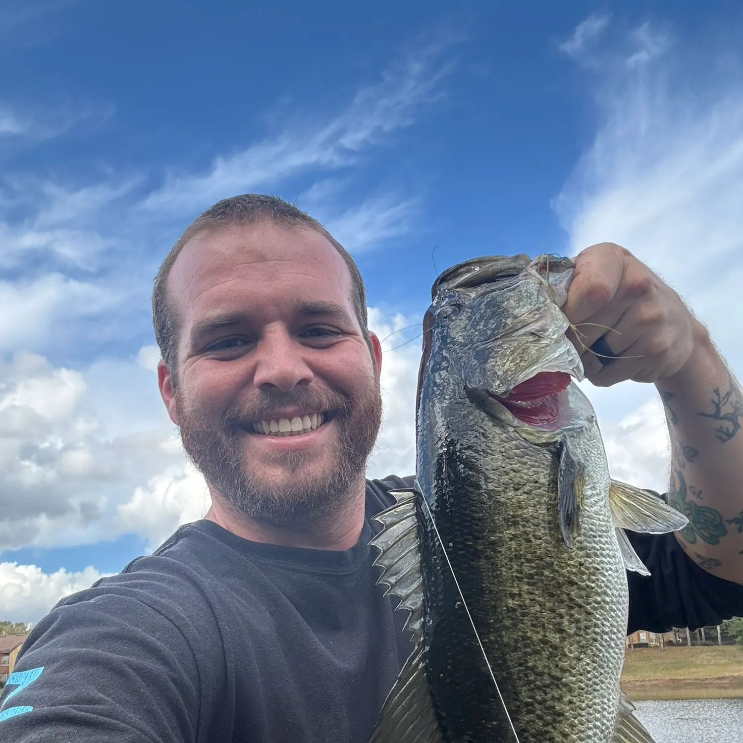 The most recent Largemouth bass catches on Fishbrain