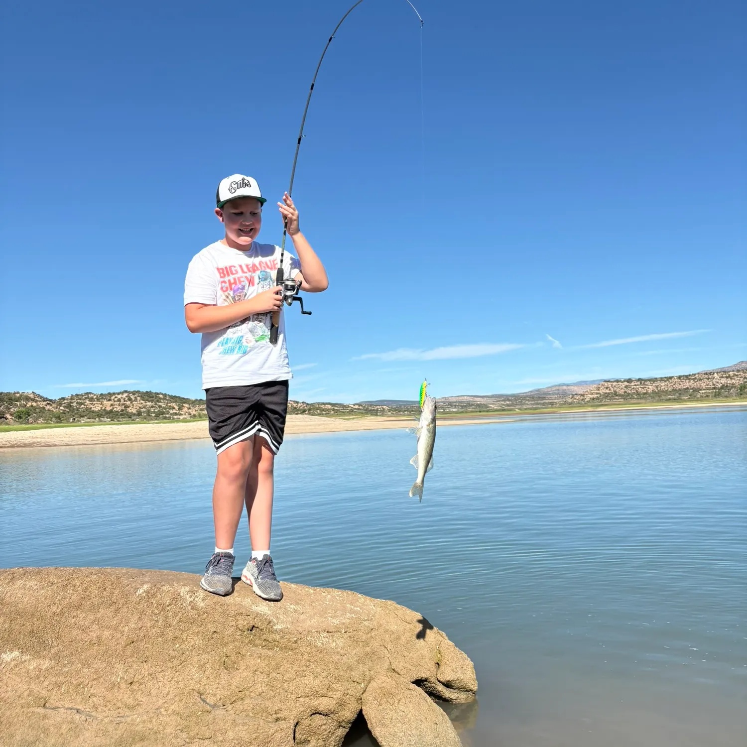 Walleye caught on Fishbrain