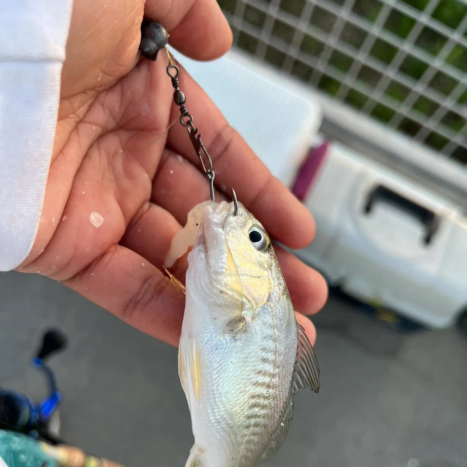 catch