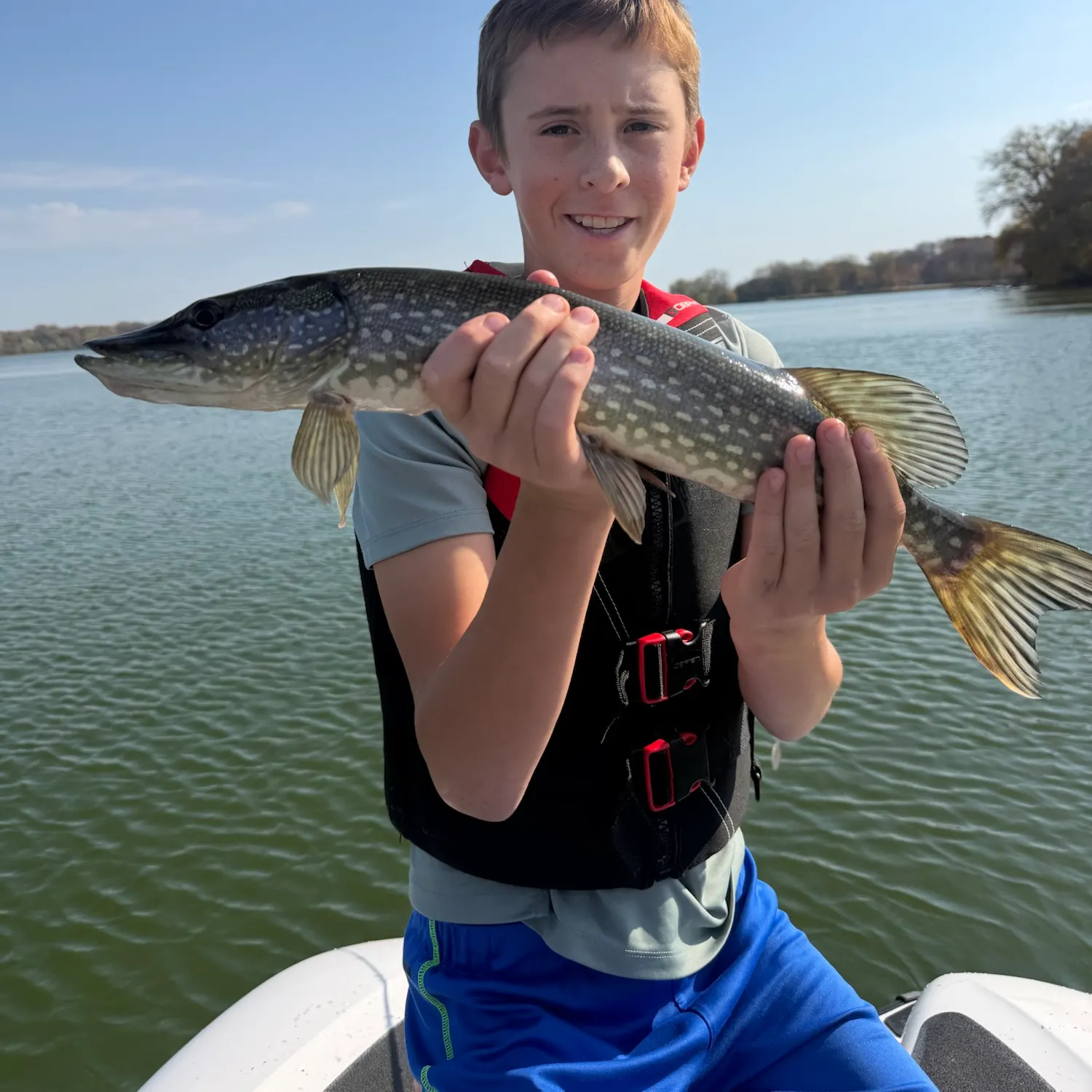 Northern pike caught on Fishbrain