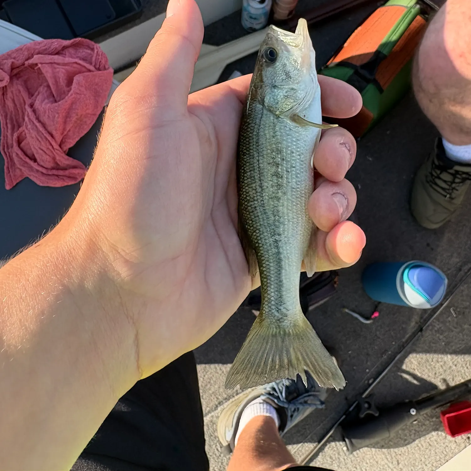 catch