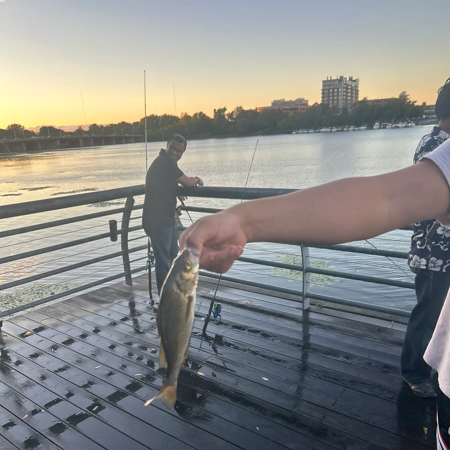 catch