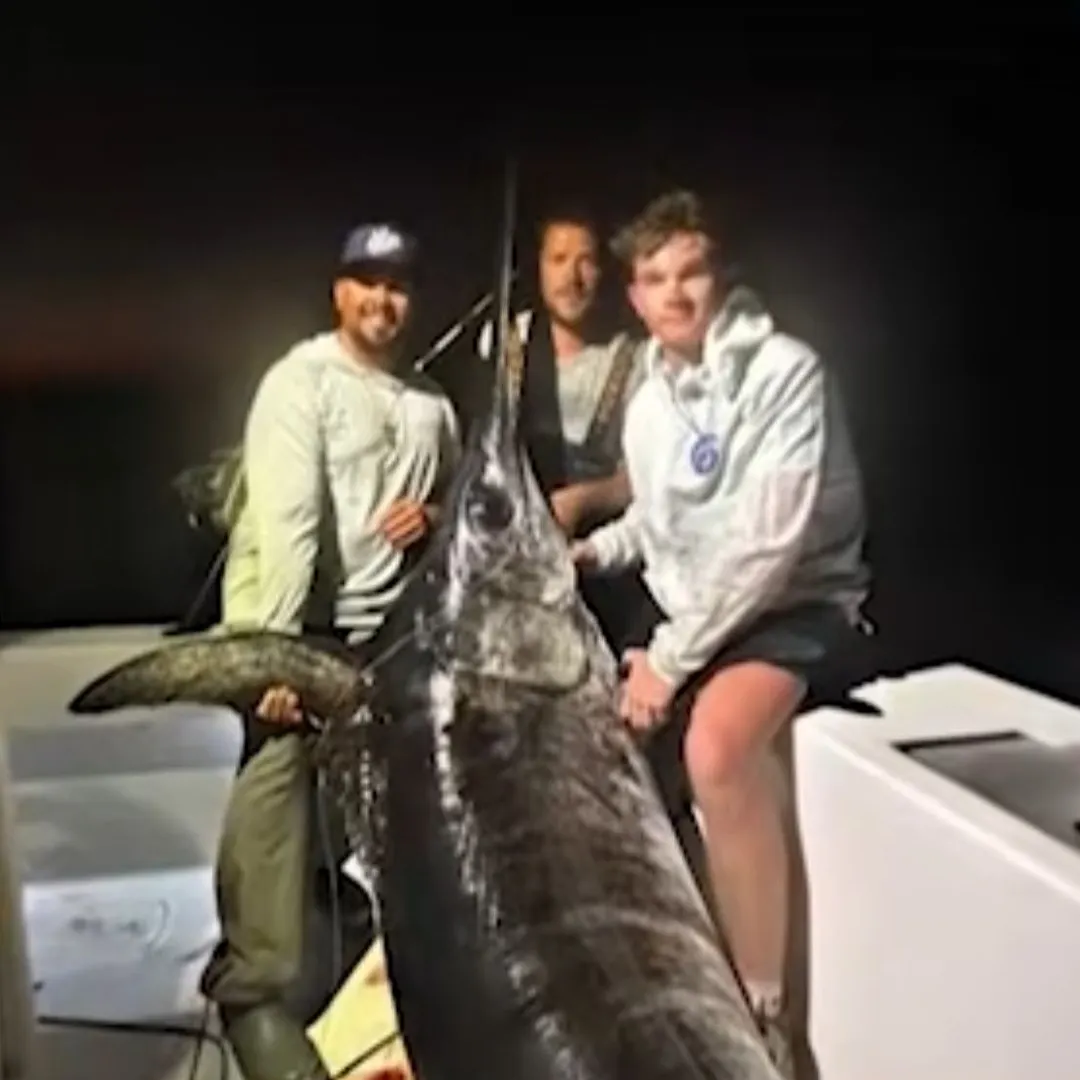 The most recent Swordfish catches on Fishbrain