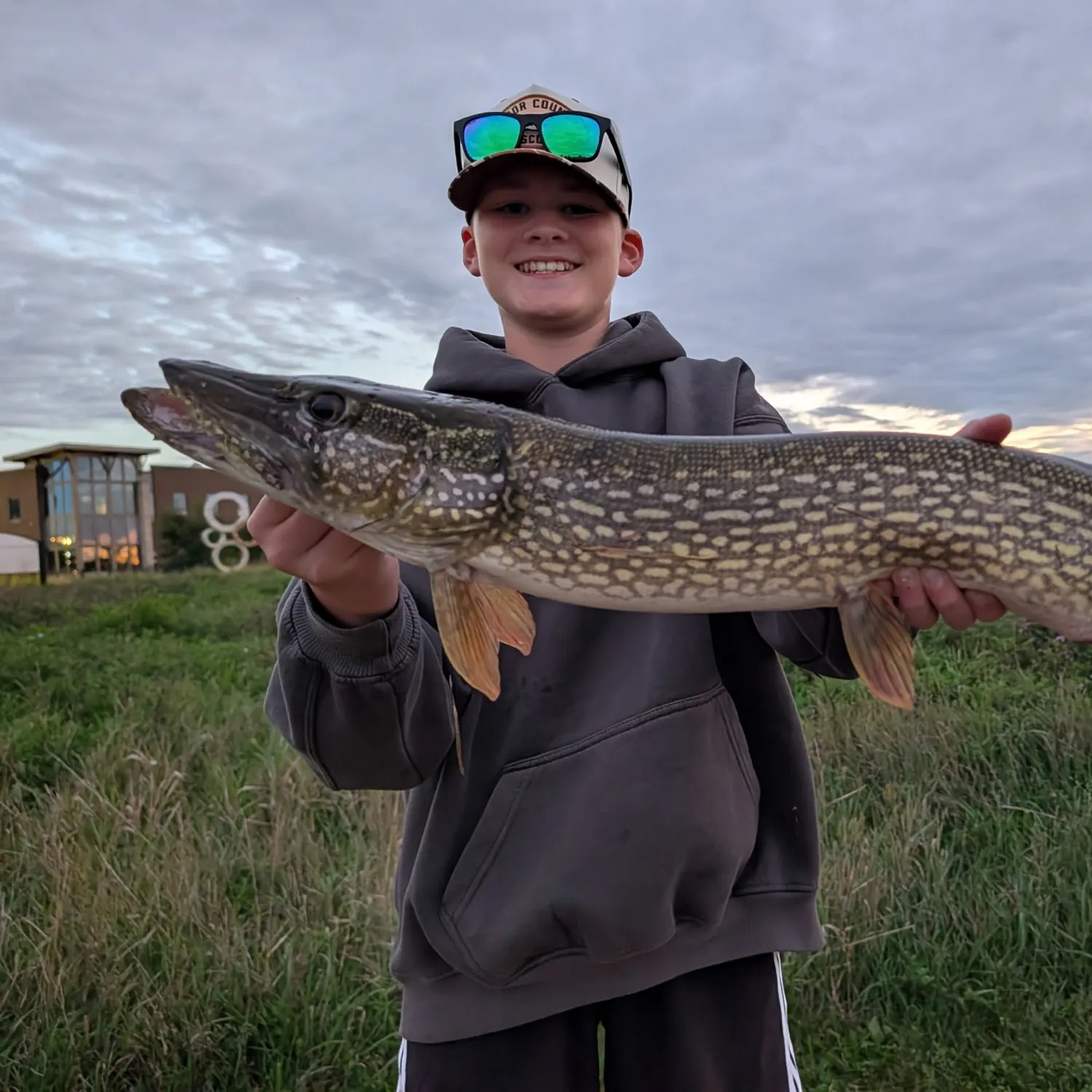 Northern pike caught on Fishbrain