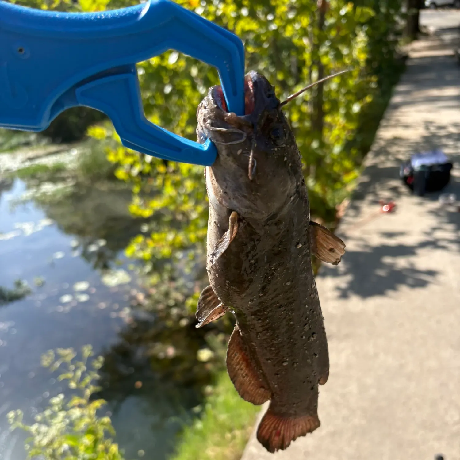 catch