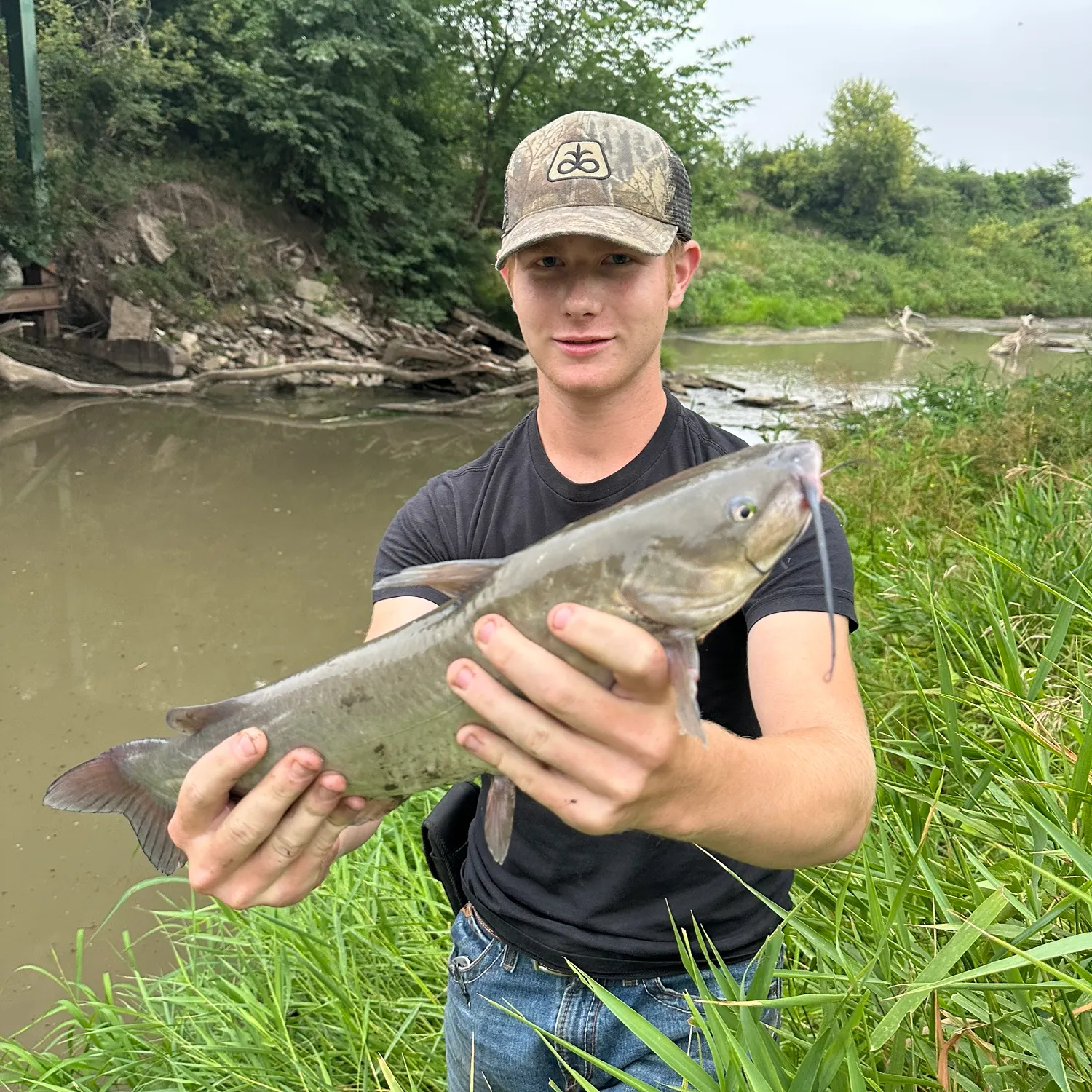 Channel catfish caught on Fishbrain