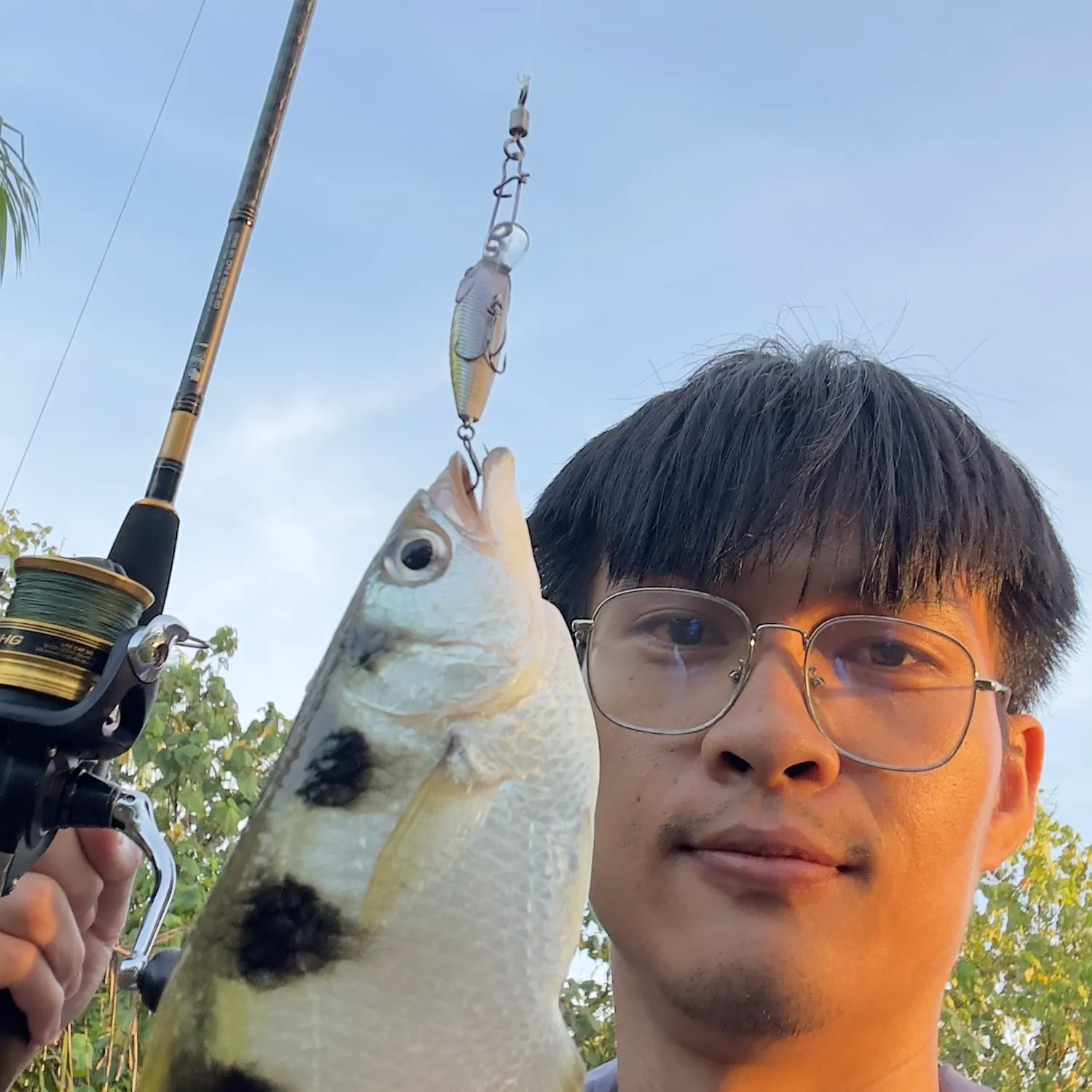 The most recent Banded archerfish catches on Fishbrain