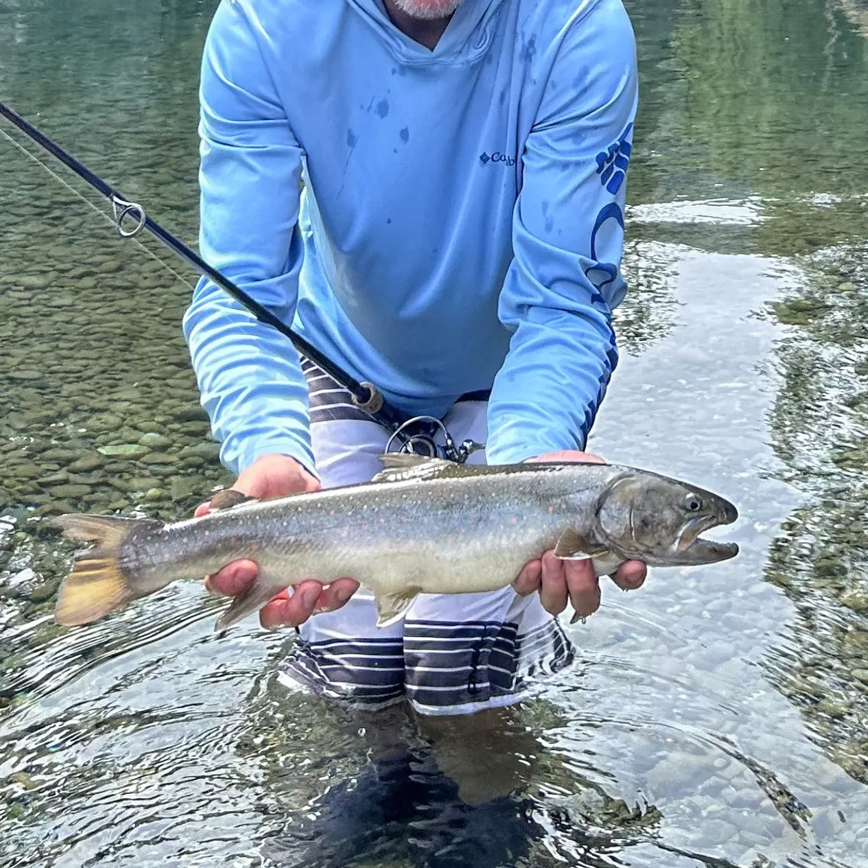 The most recent Bull trout catches on Fishbrain