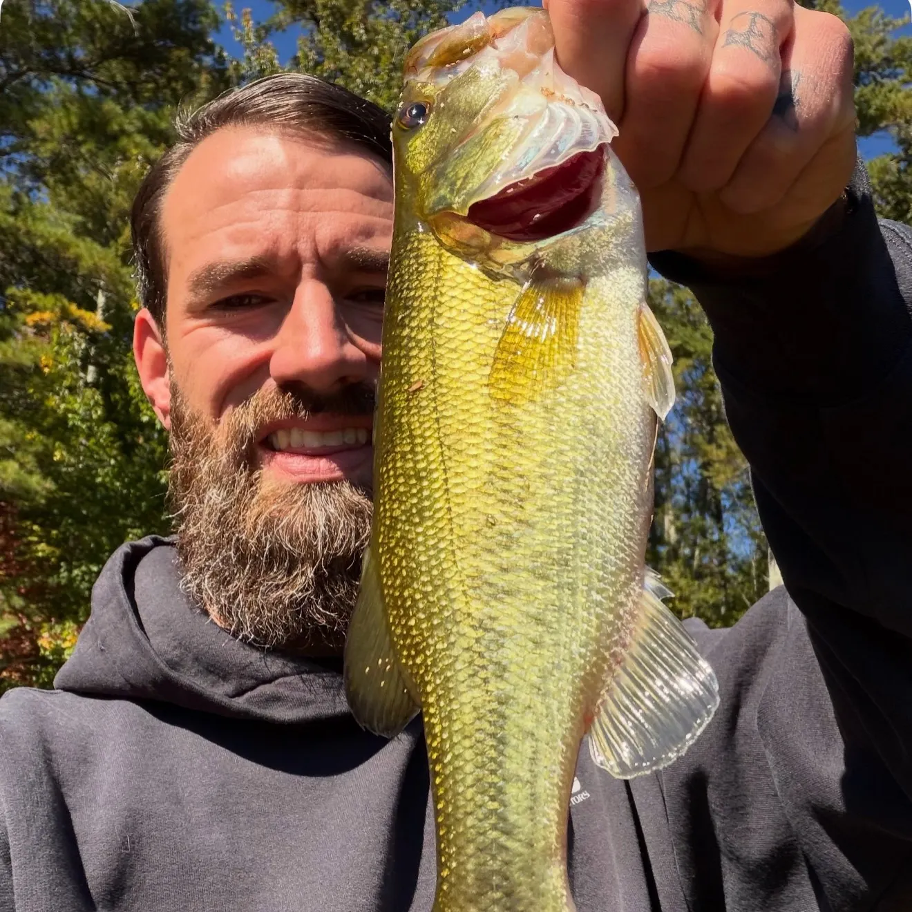 Largemouth bass caught on Fishbrain