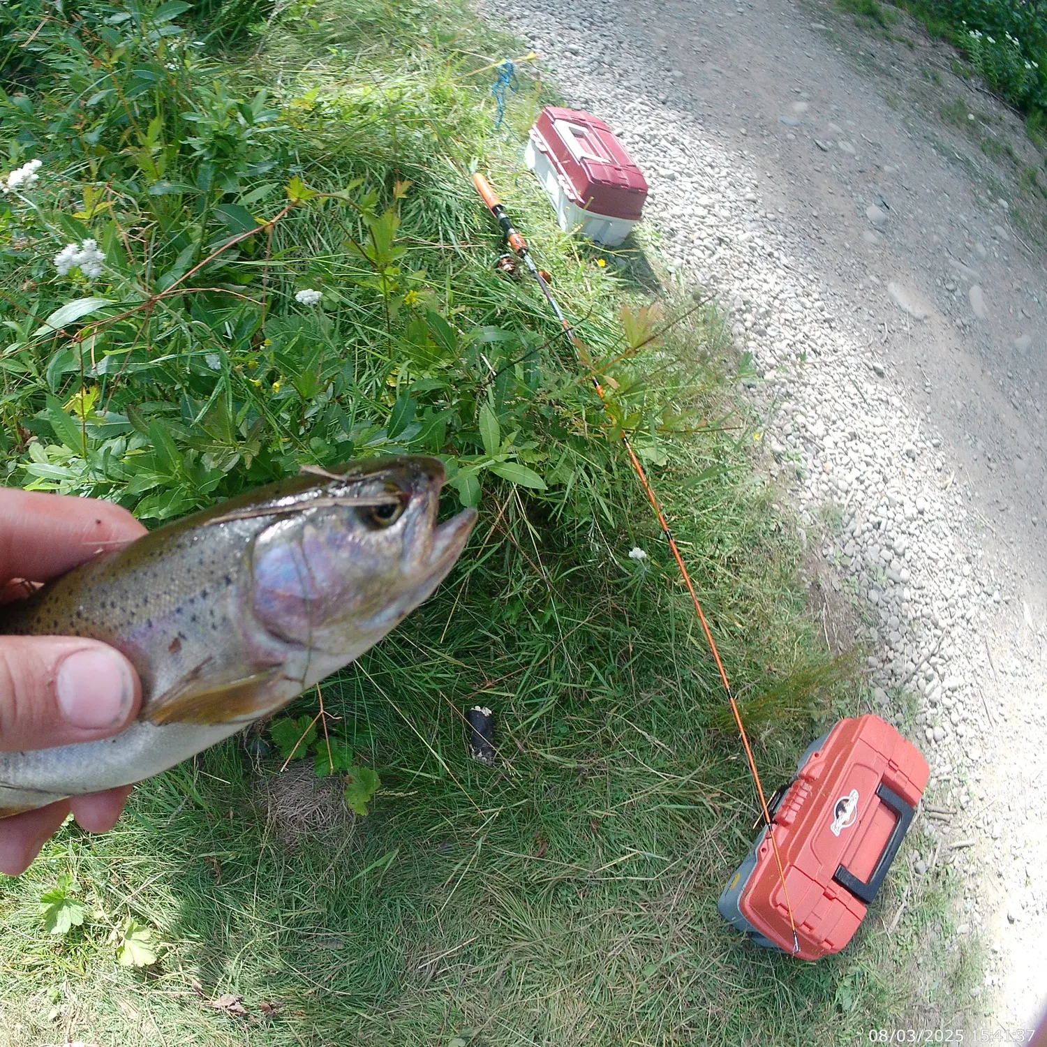 recently logged catches