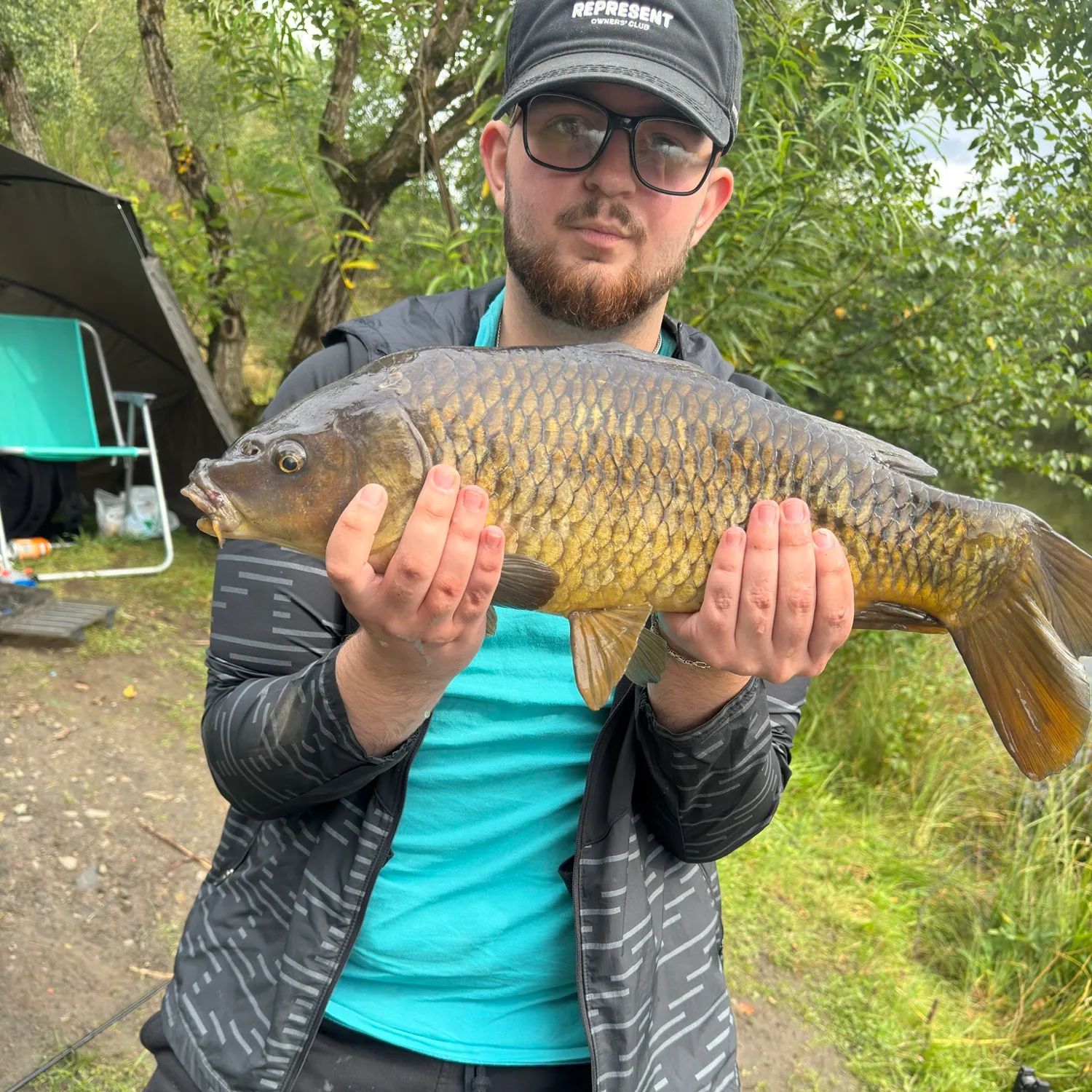 Common carp caught on Fishbrain