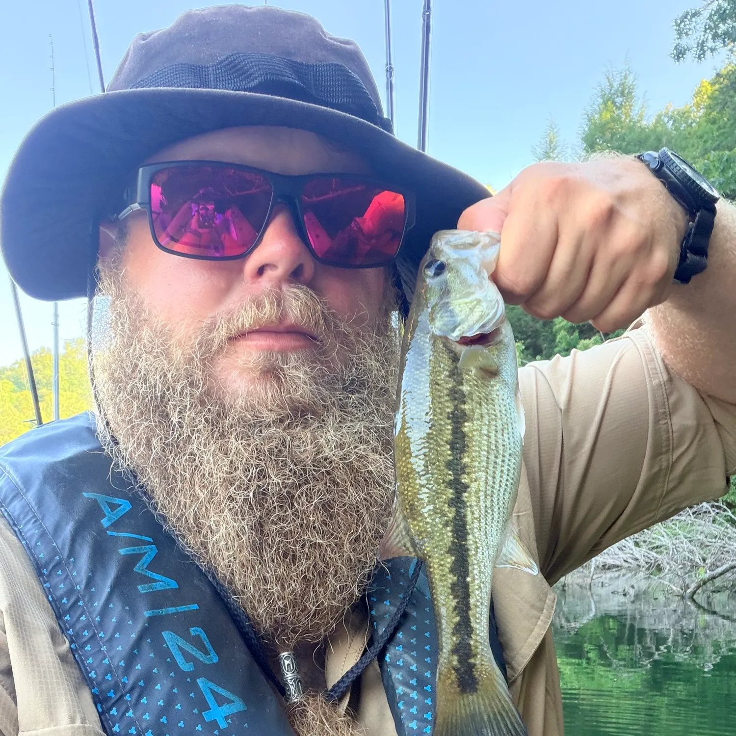 Spotted bass caught on Fishbrain