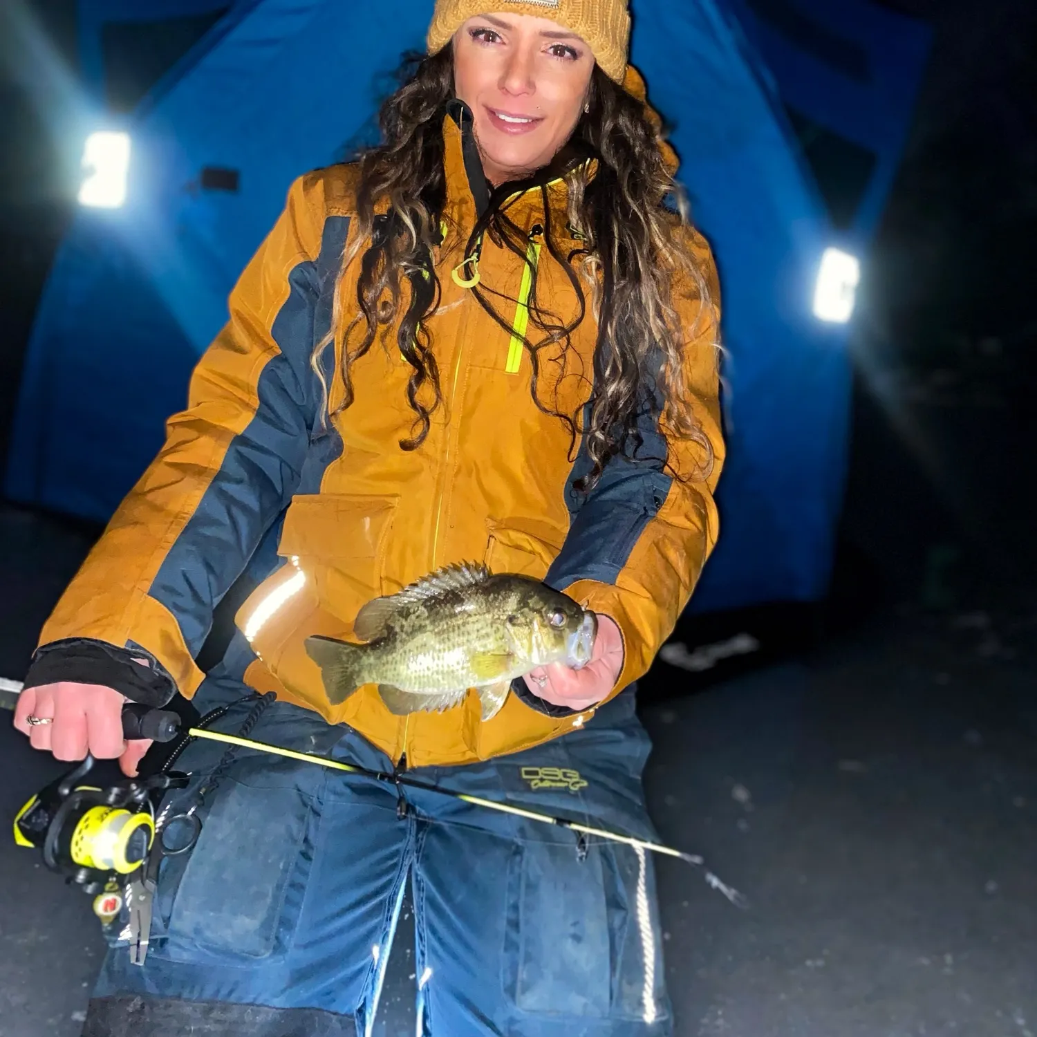 The most recent Rock bass catches on Fishbrain