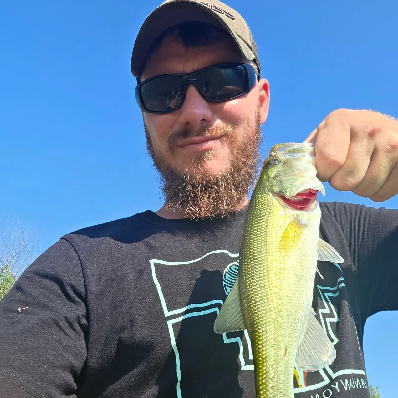 Largemouth bass caught on Fishbrain