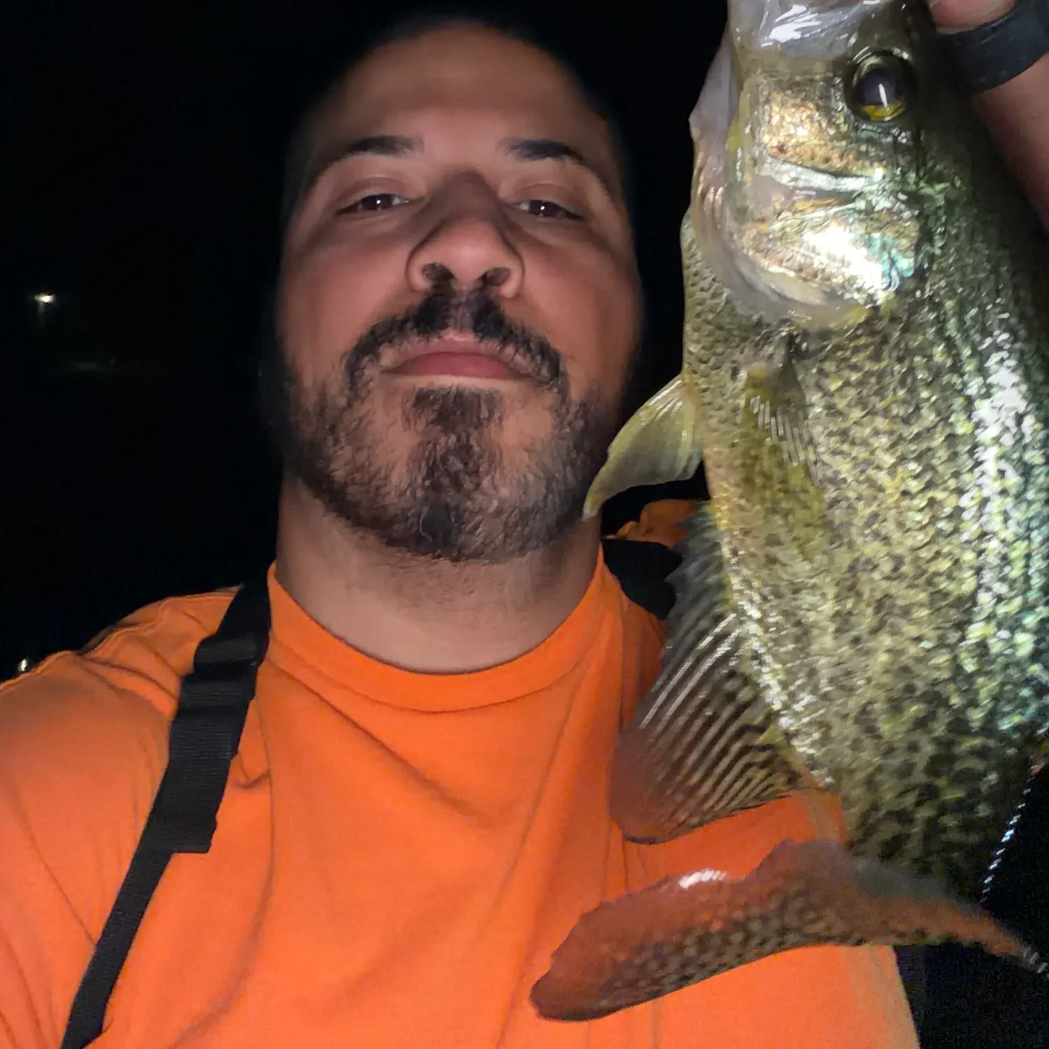 Black crappie caught on Fishbrain
