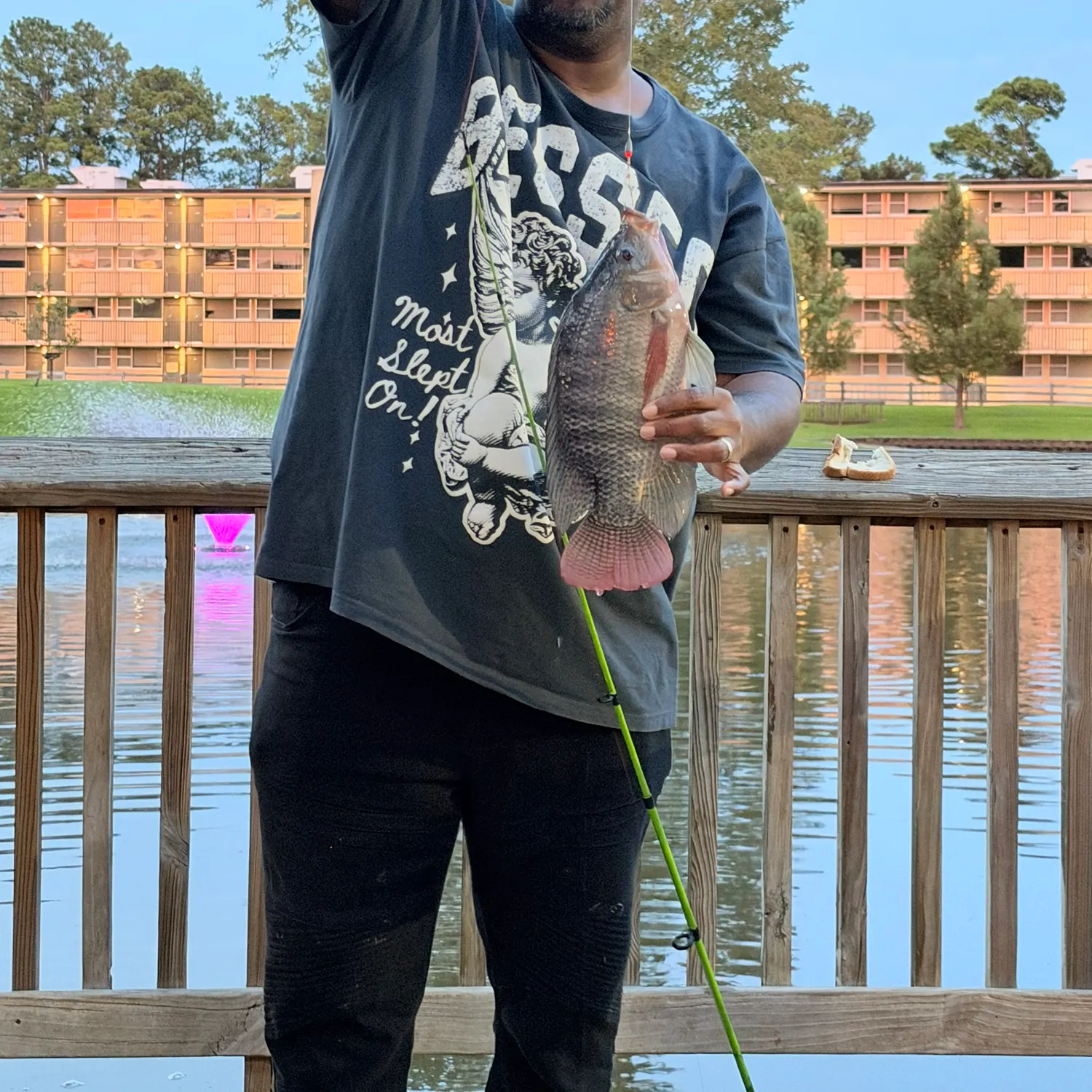 Nile tilapia caught on Fishbrain
