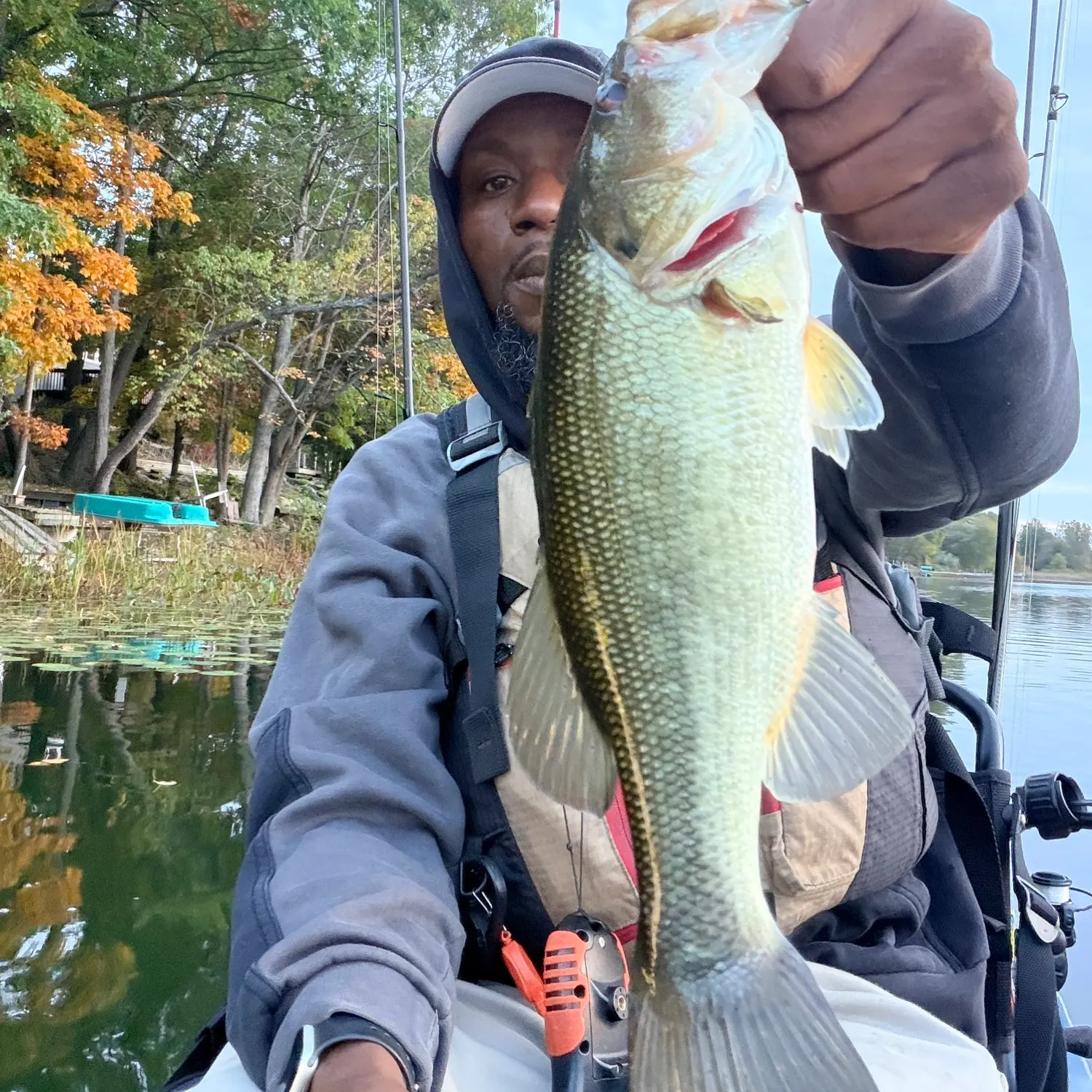 Largemouth bass caught on Fishbrain