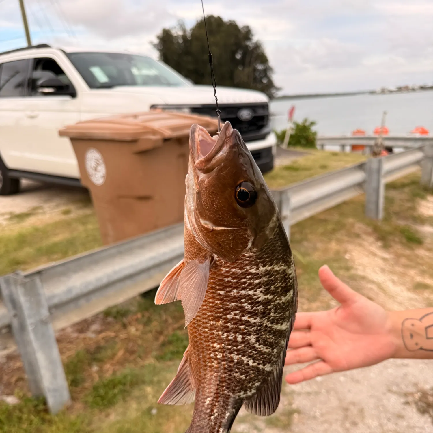 catch