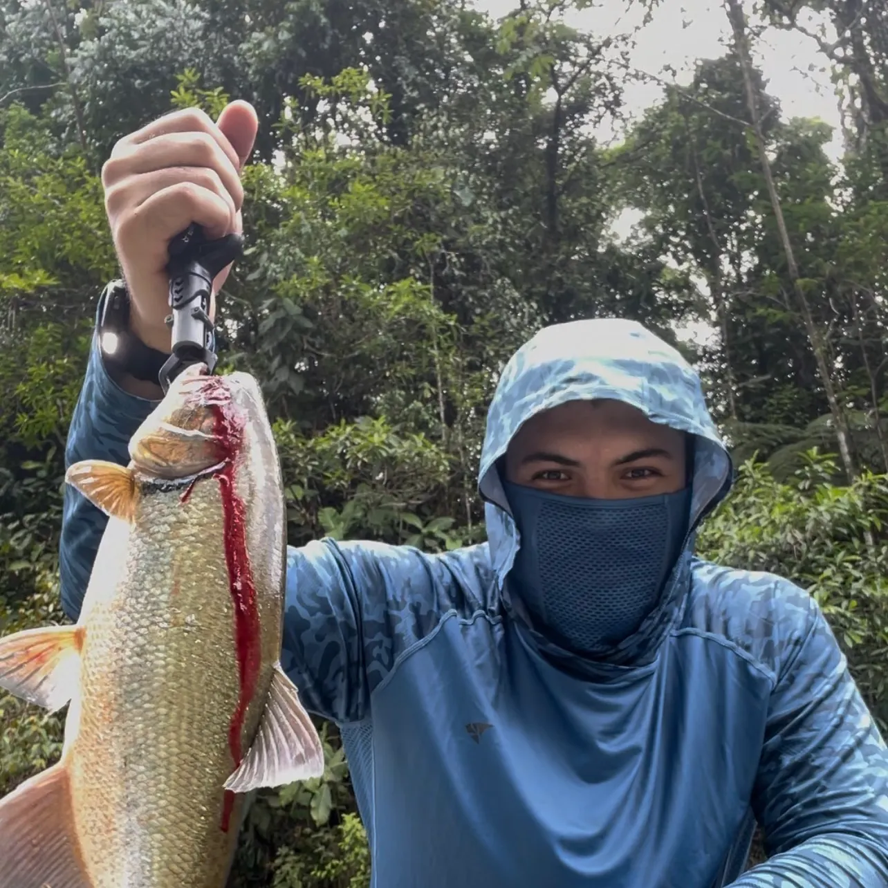 The most recent Machaca catches on Fishbrain