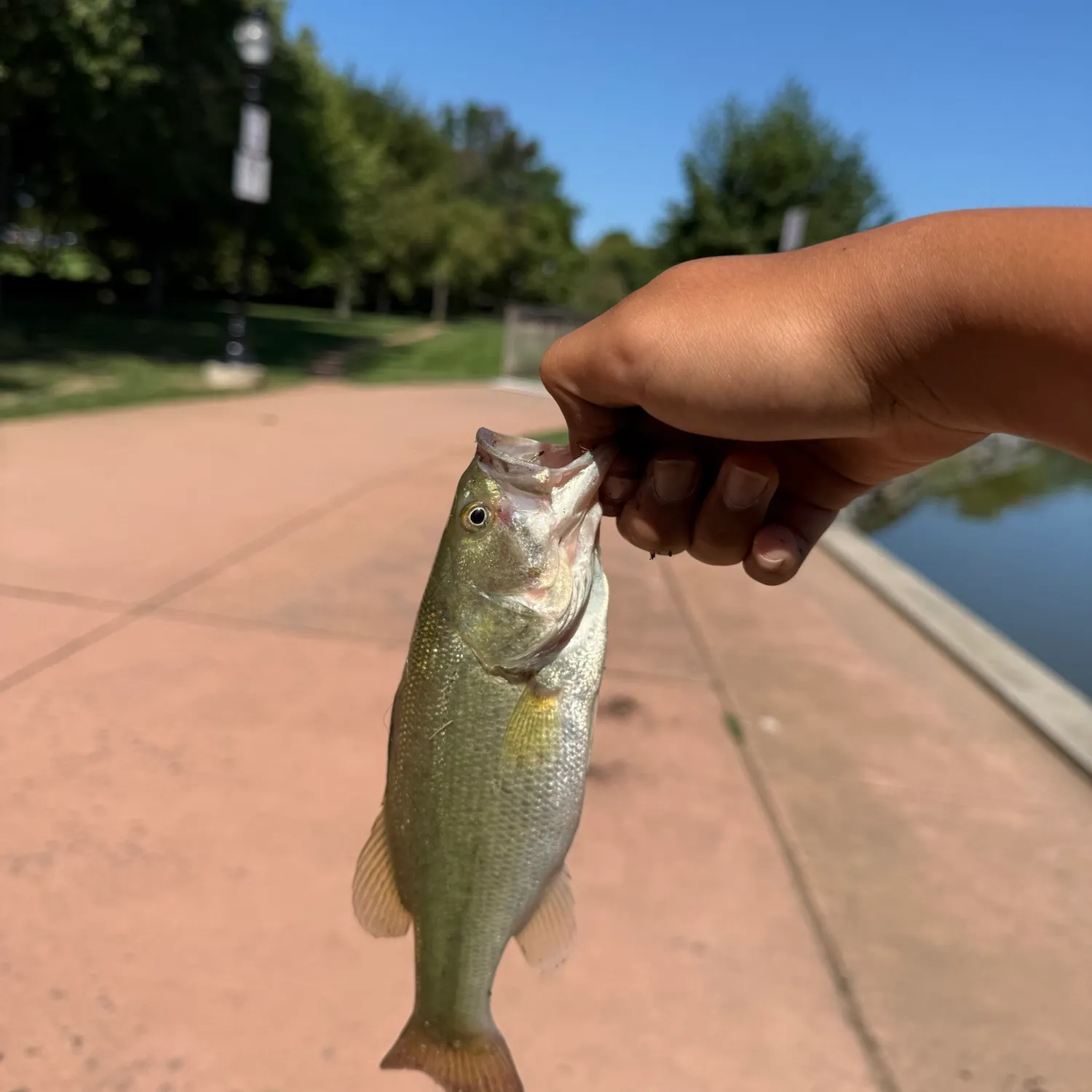 catch