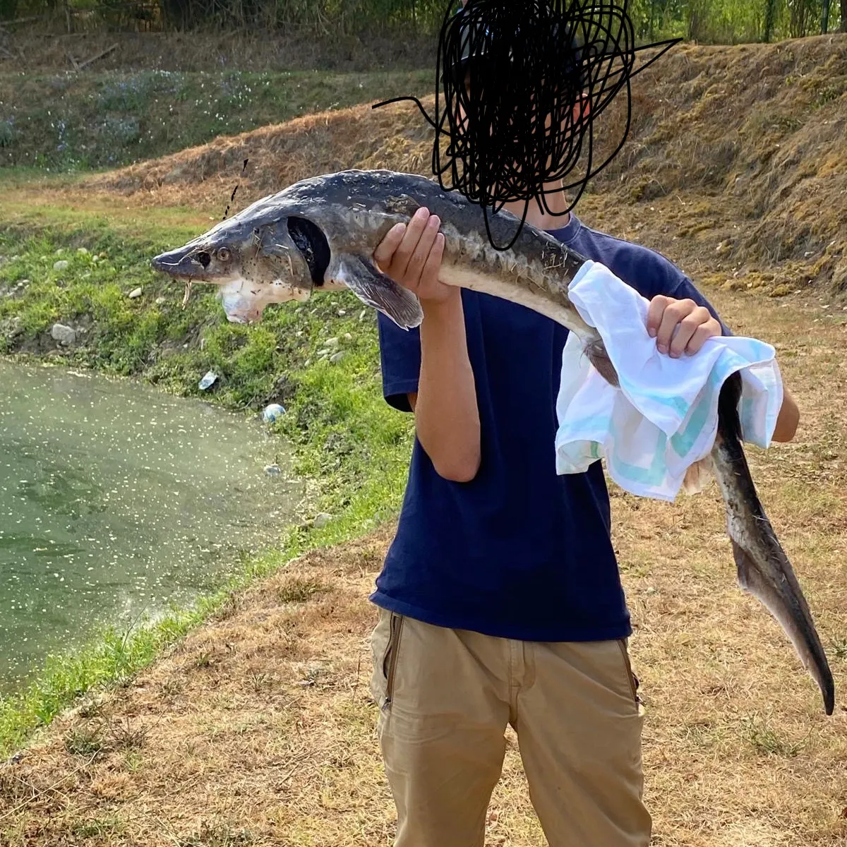 The most recent Siberian sturgeon catches on Fishbrain