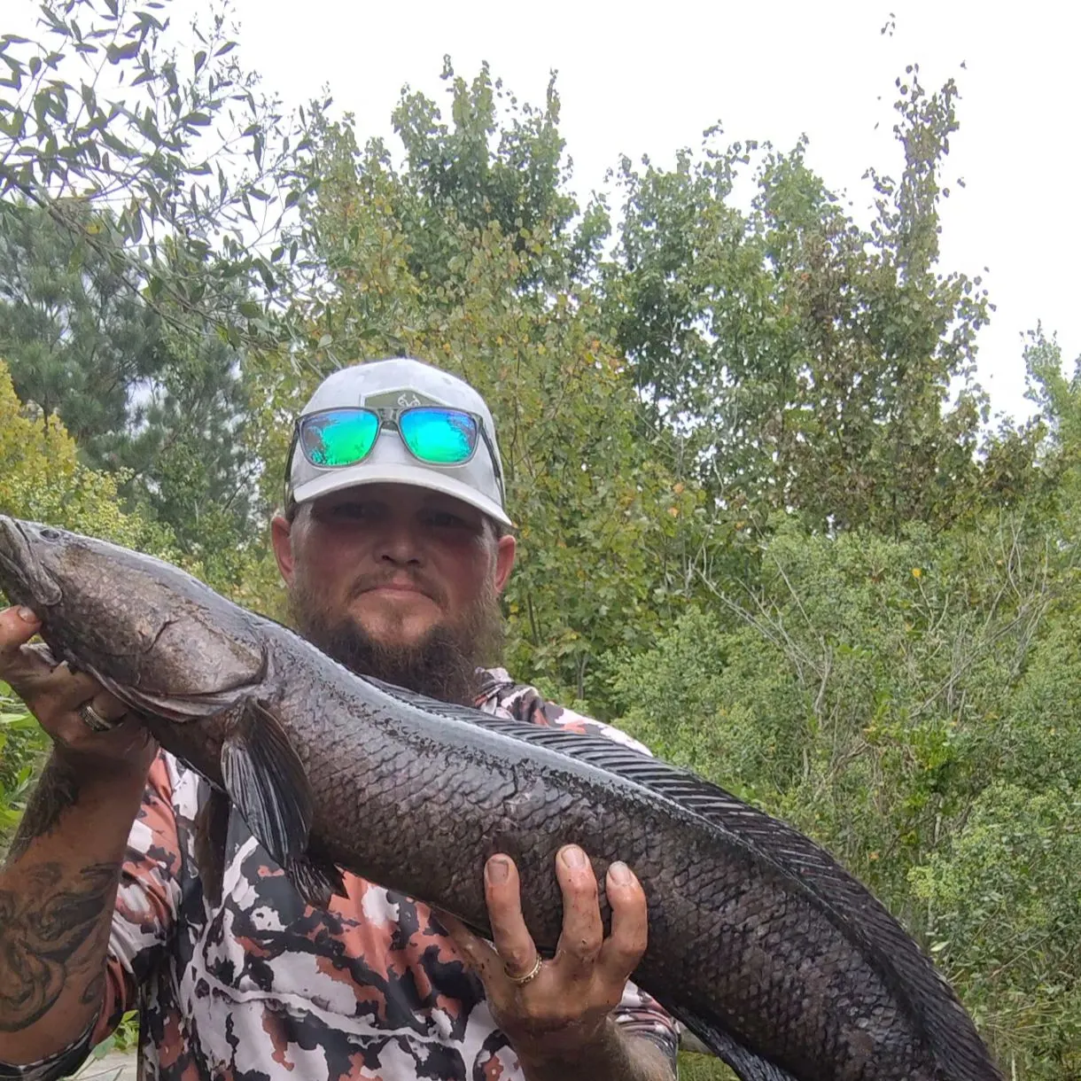 The most recent Northern snakehead catches on Fishbrain