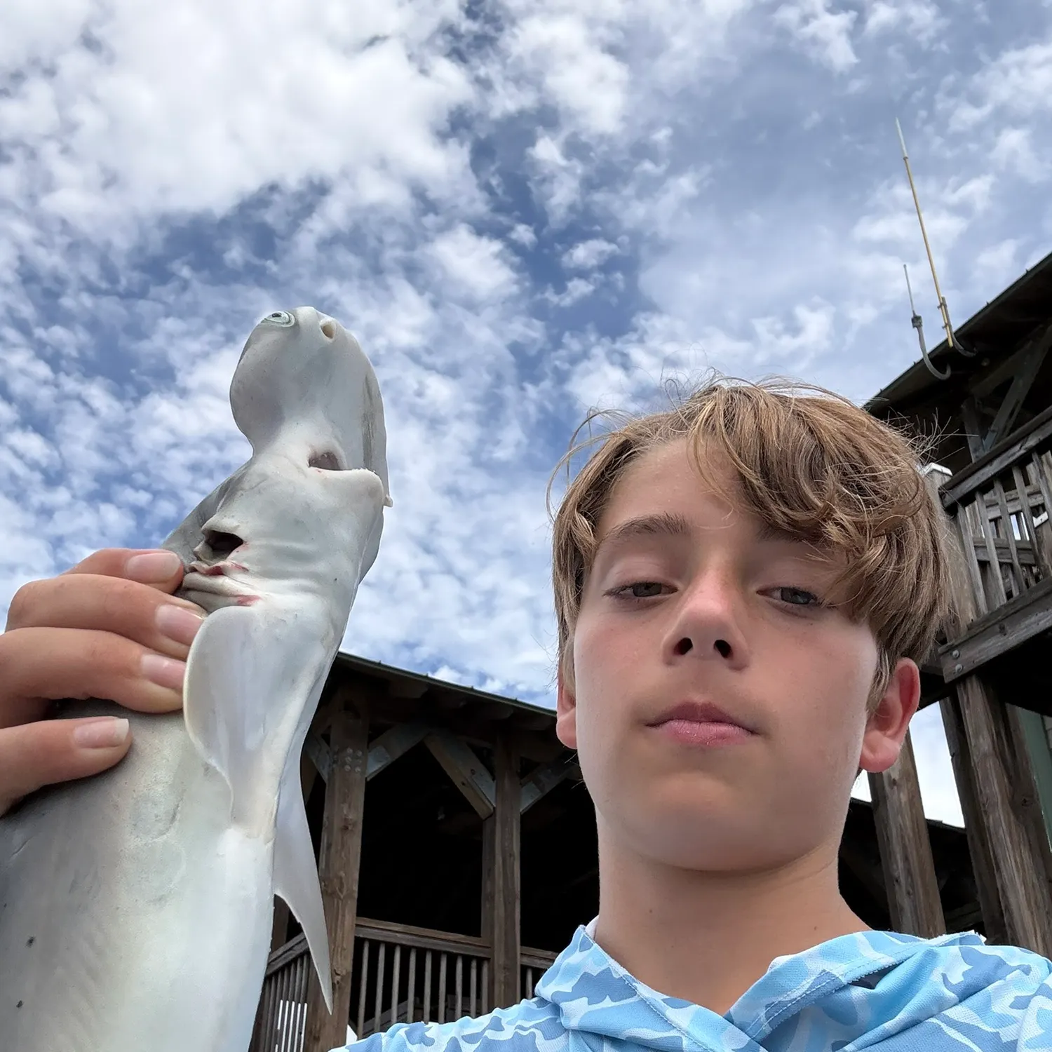 Bonnethead shark caught on Fishbrain