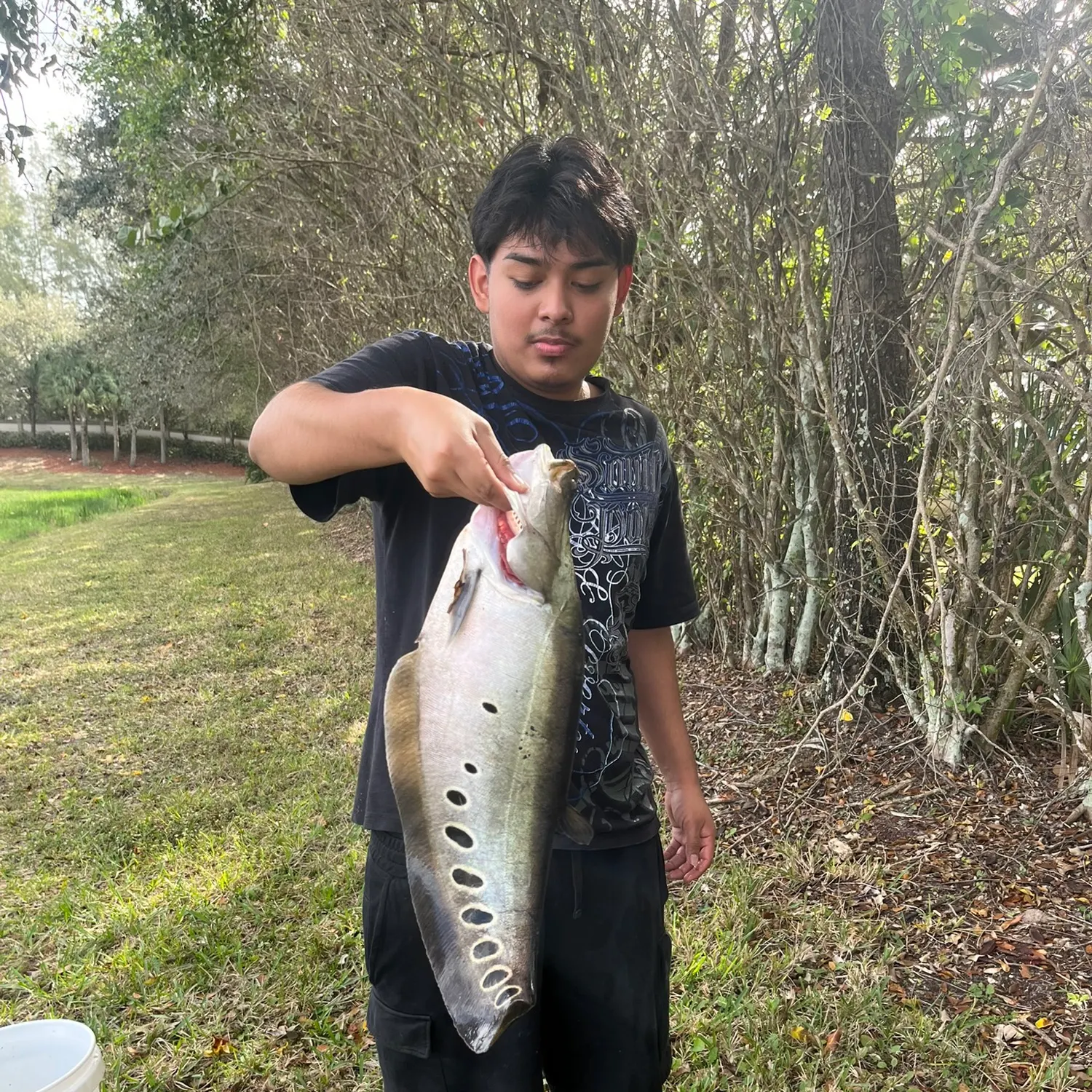 The most recent Clown knifefish catches on Fishbrain