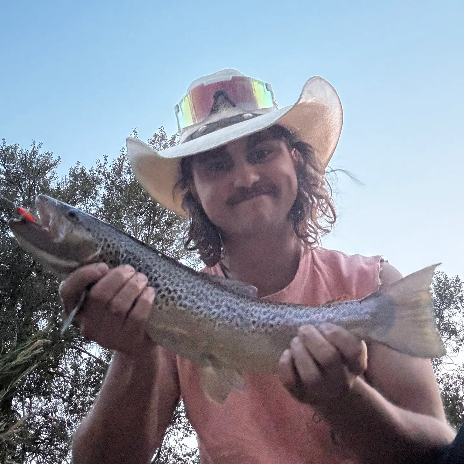 Brown trout caught on Fishbrain