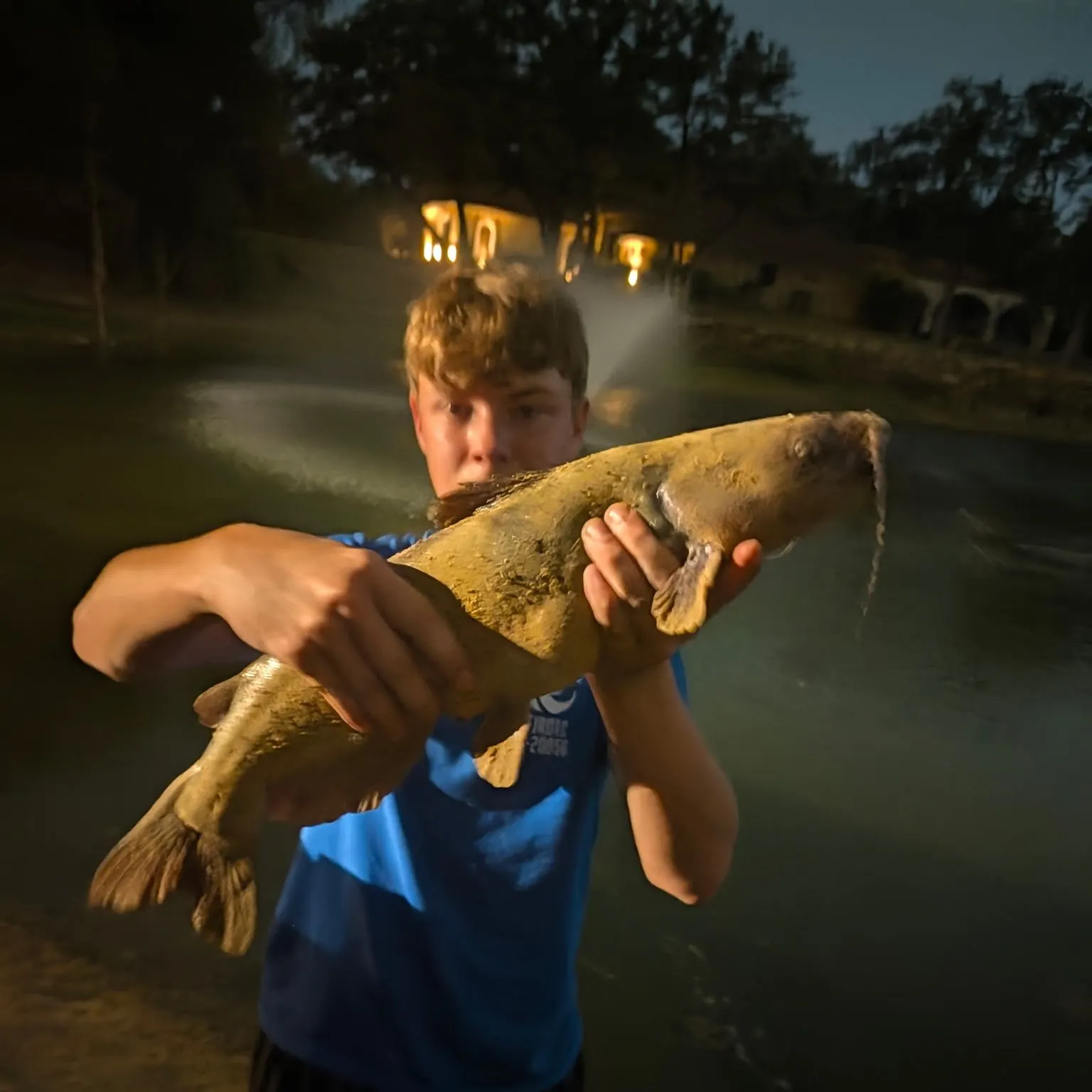 Channel catfish caught on Fishbrain