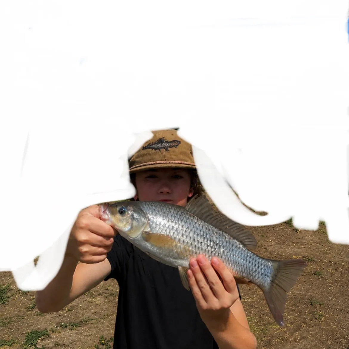 The most recent Ghost carp catches on Fishbrain