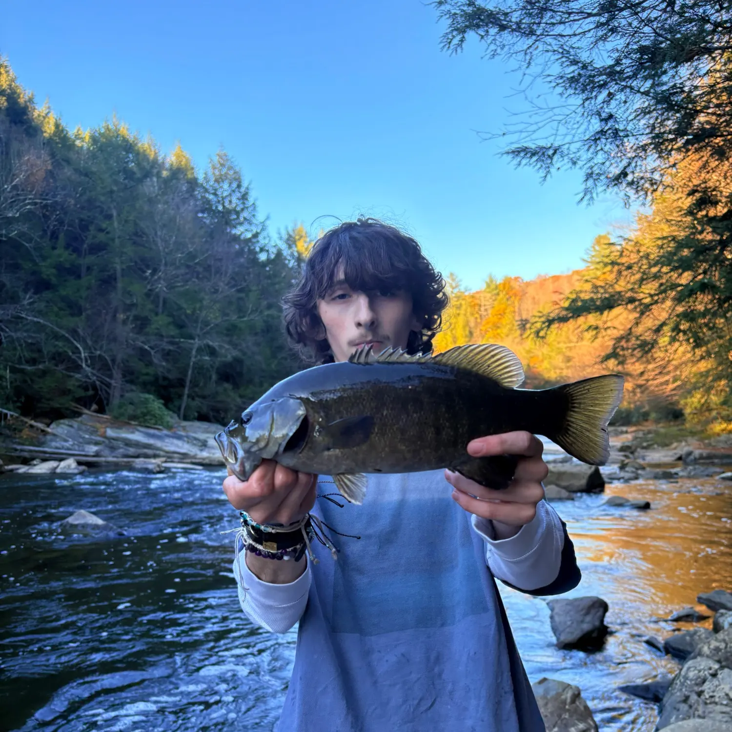 Smallmouth bass caught on Fishbrain
