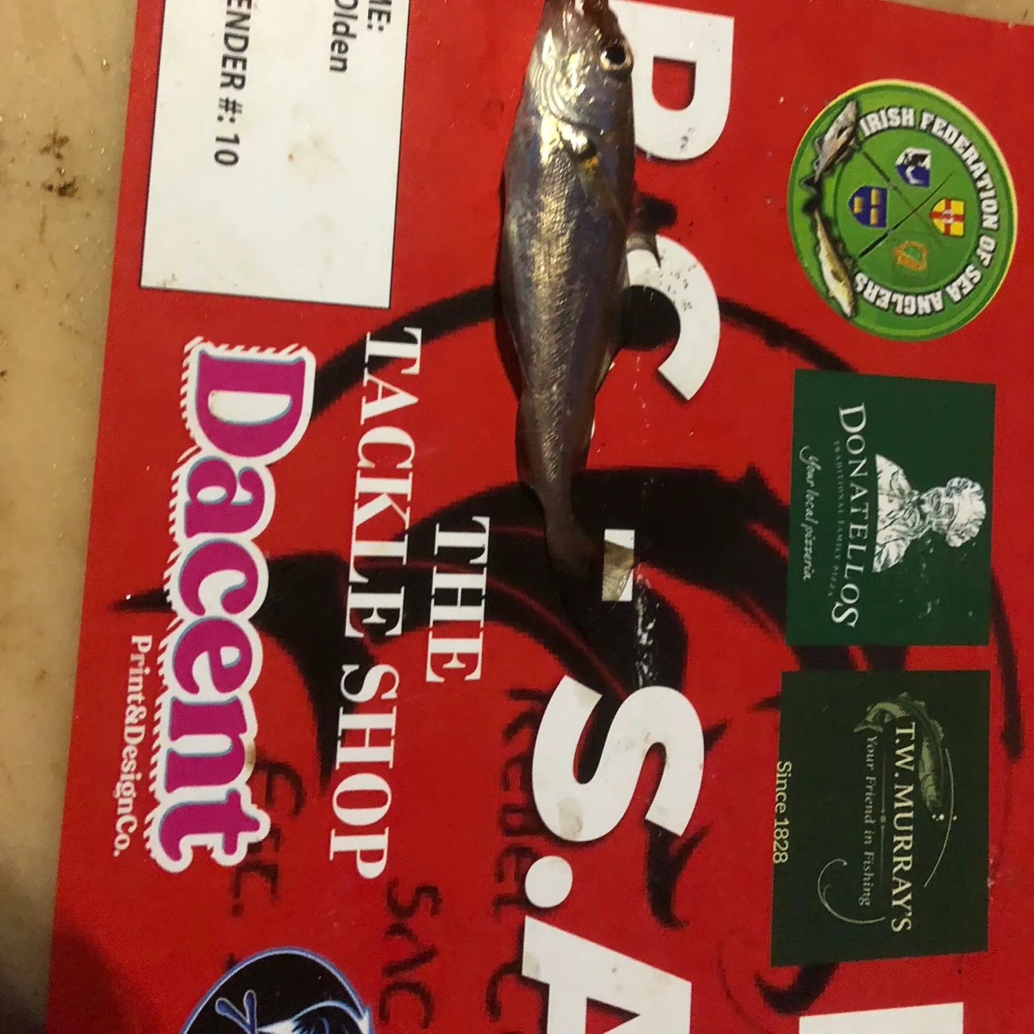 recently logged catches