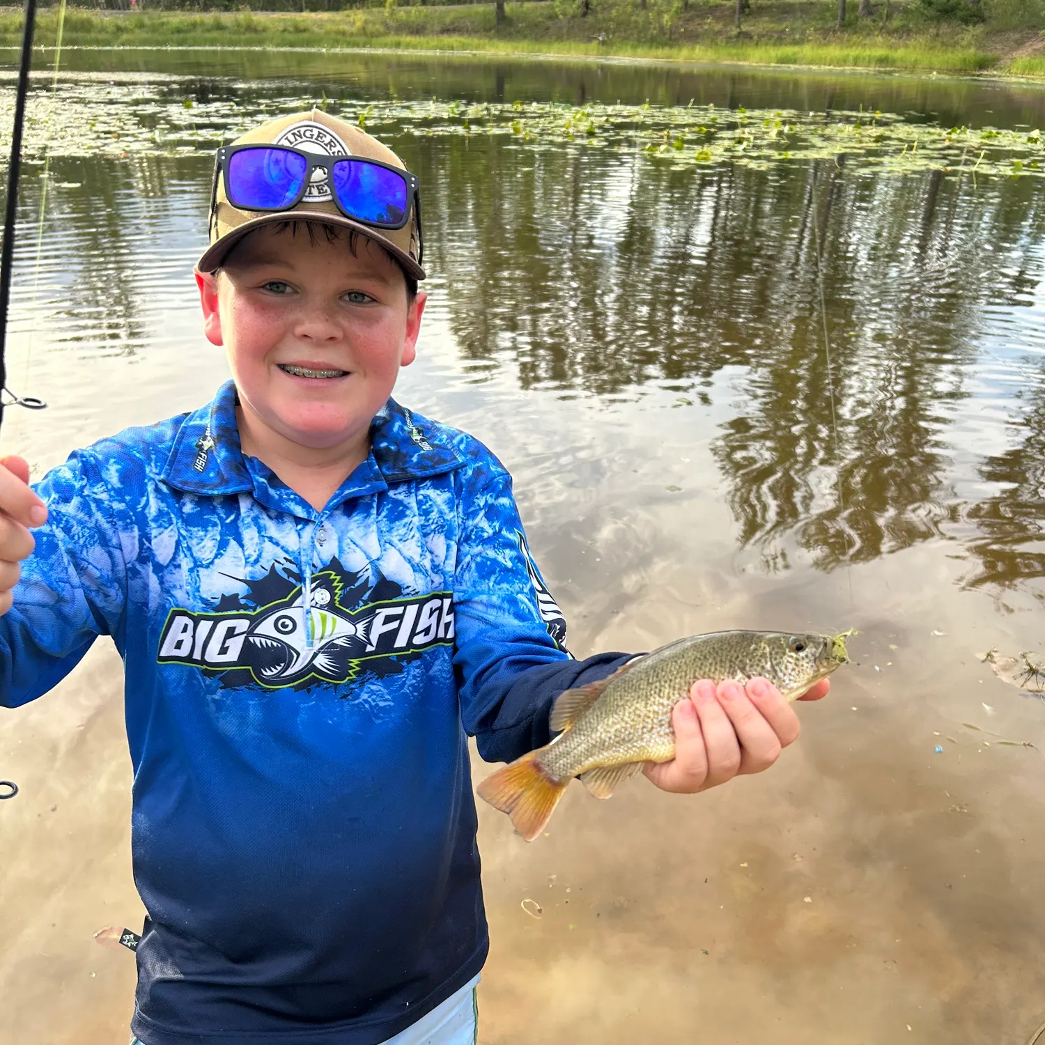 The most recent Yellowbelly pirate perch catches on Fishbrain