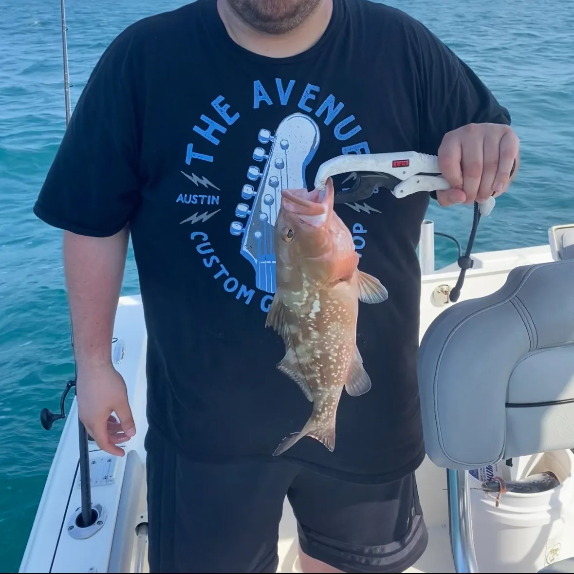 Red grouper caught on Fishbrain