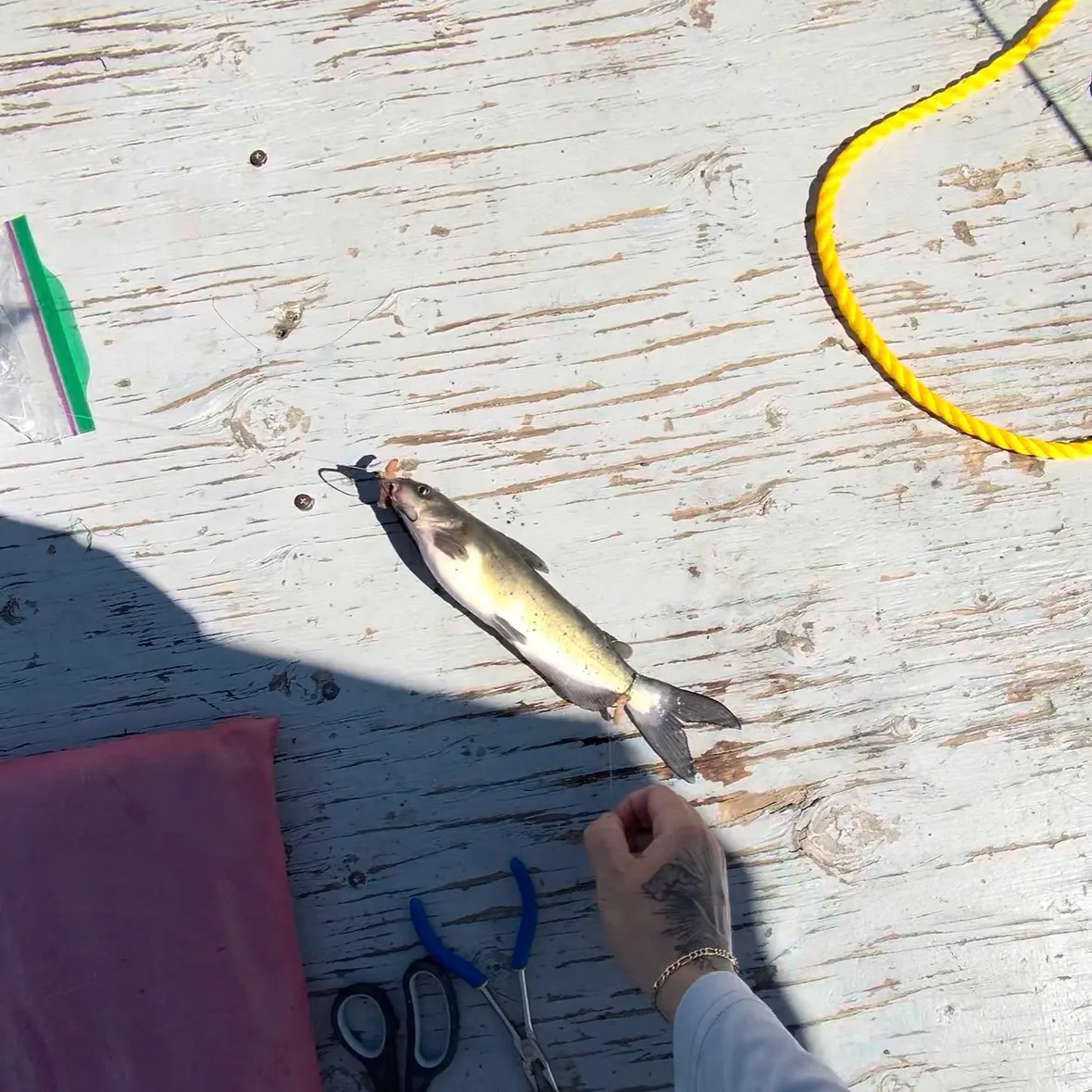 catch