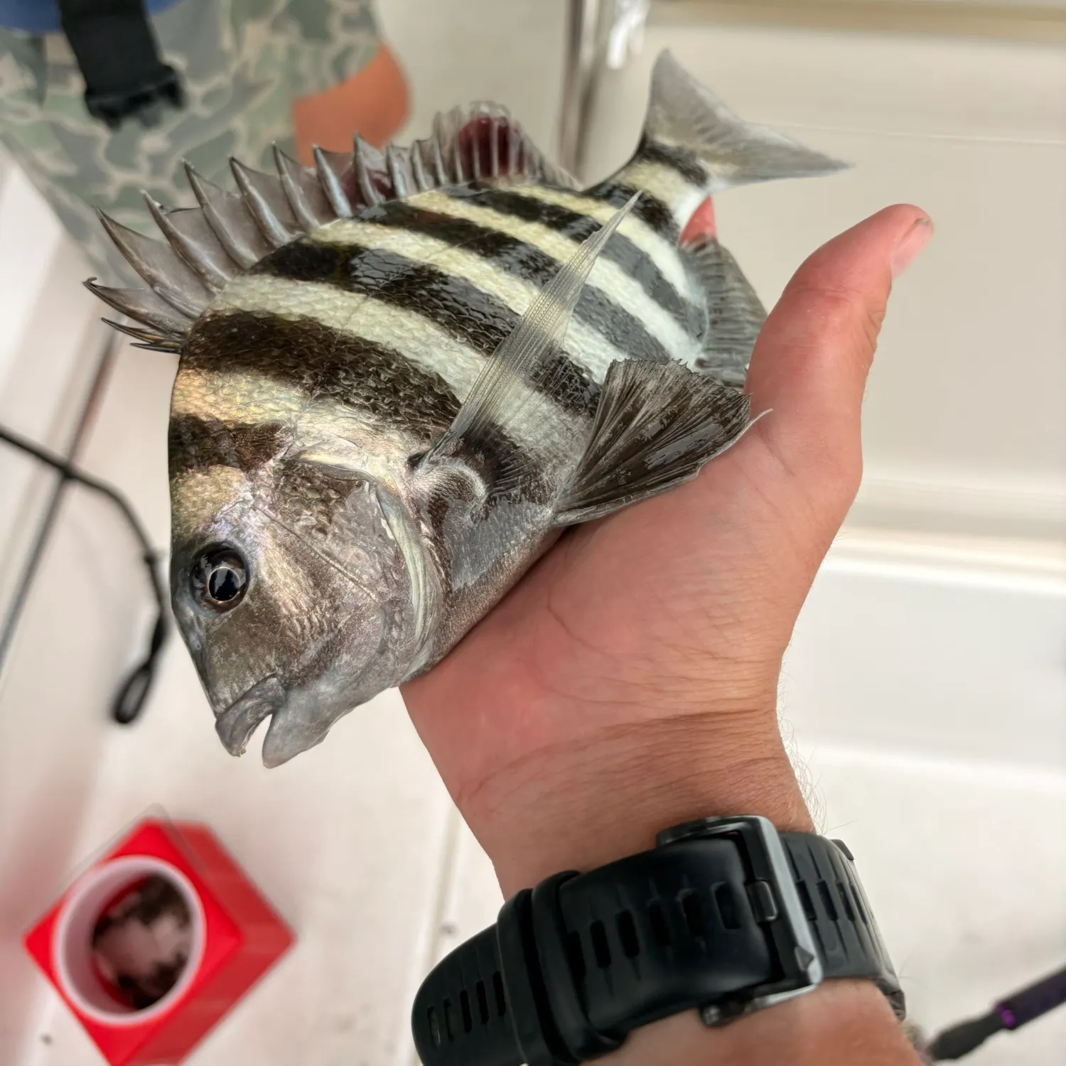 catch