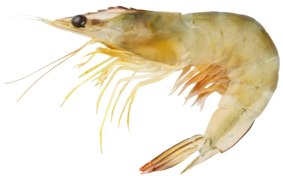 Banana Prawn