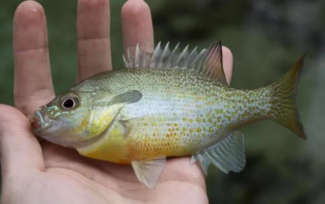 Post image from codyhough