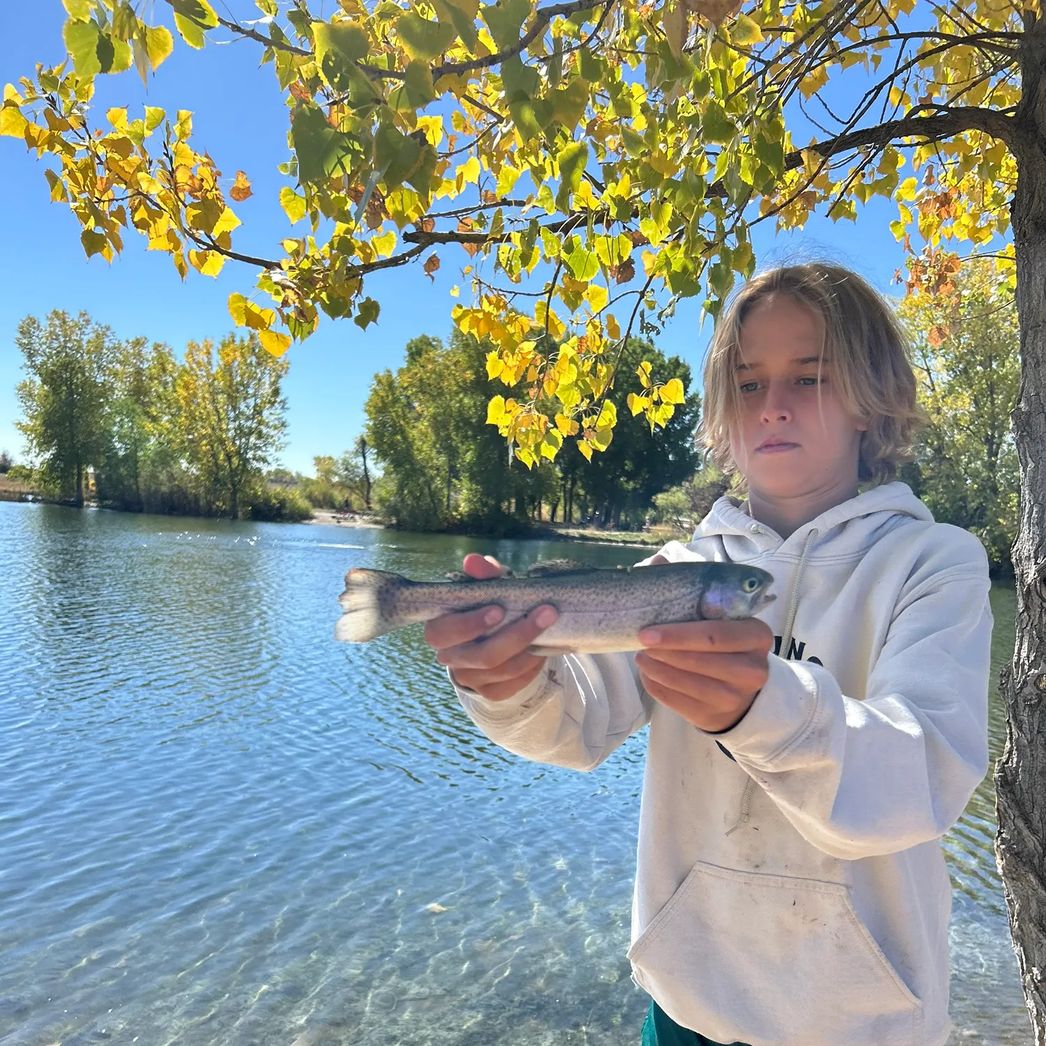 Rainbow trout caught on Fishbrain