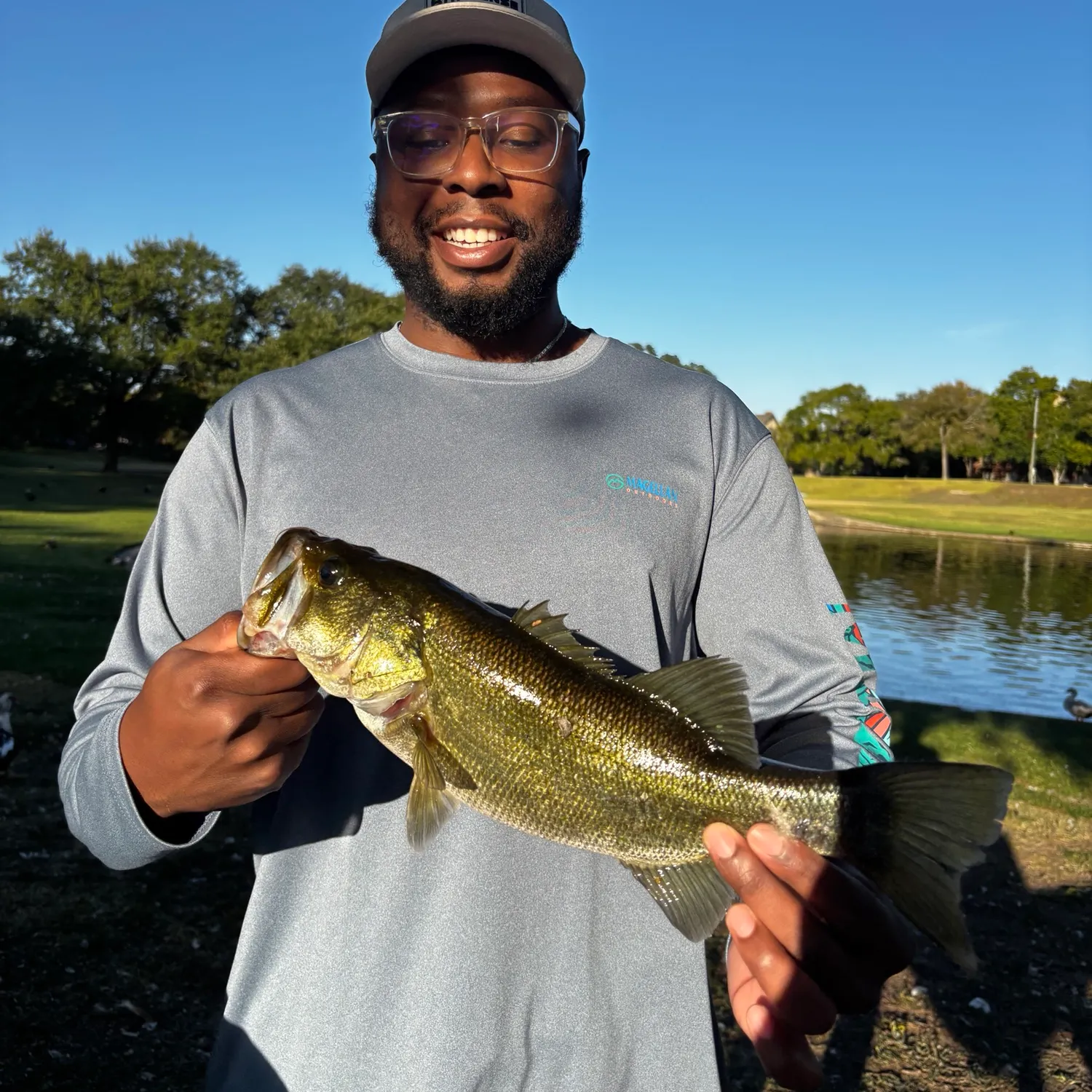 Largemouth bass caught on Fishbrain