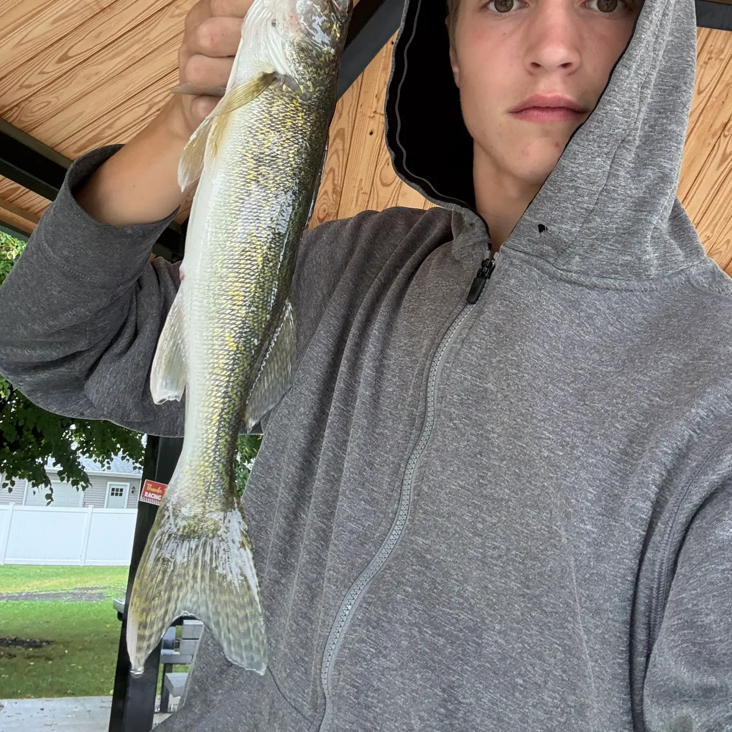 Walleye caught on Fishbrain