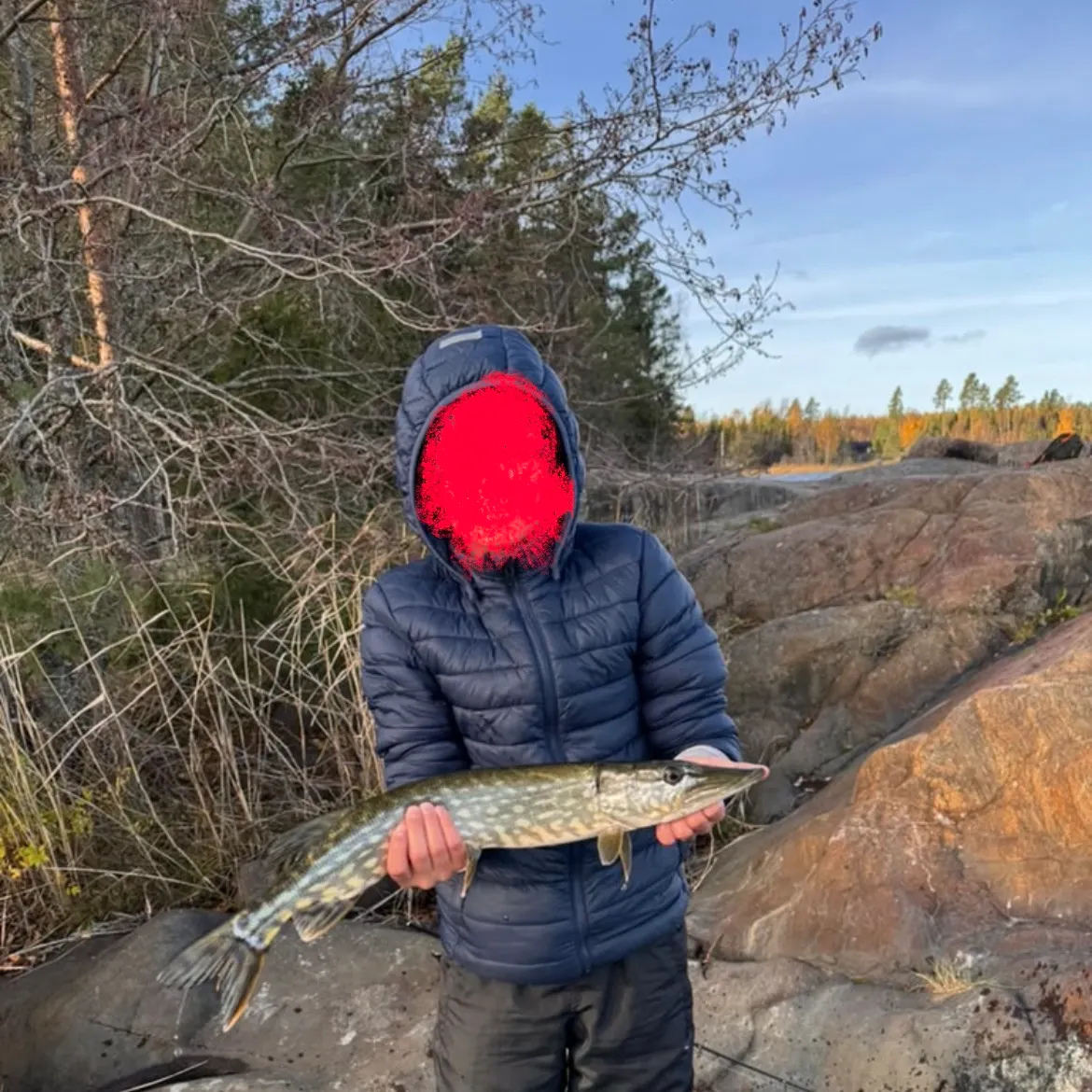 Northern pike caught on Fishbrain