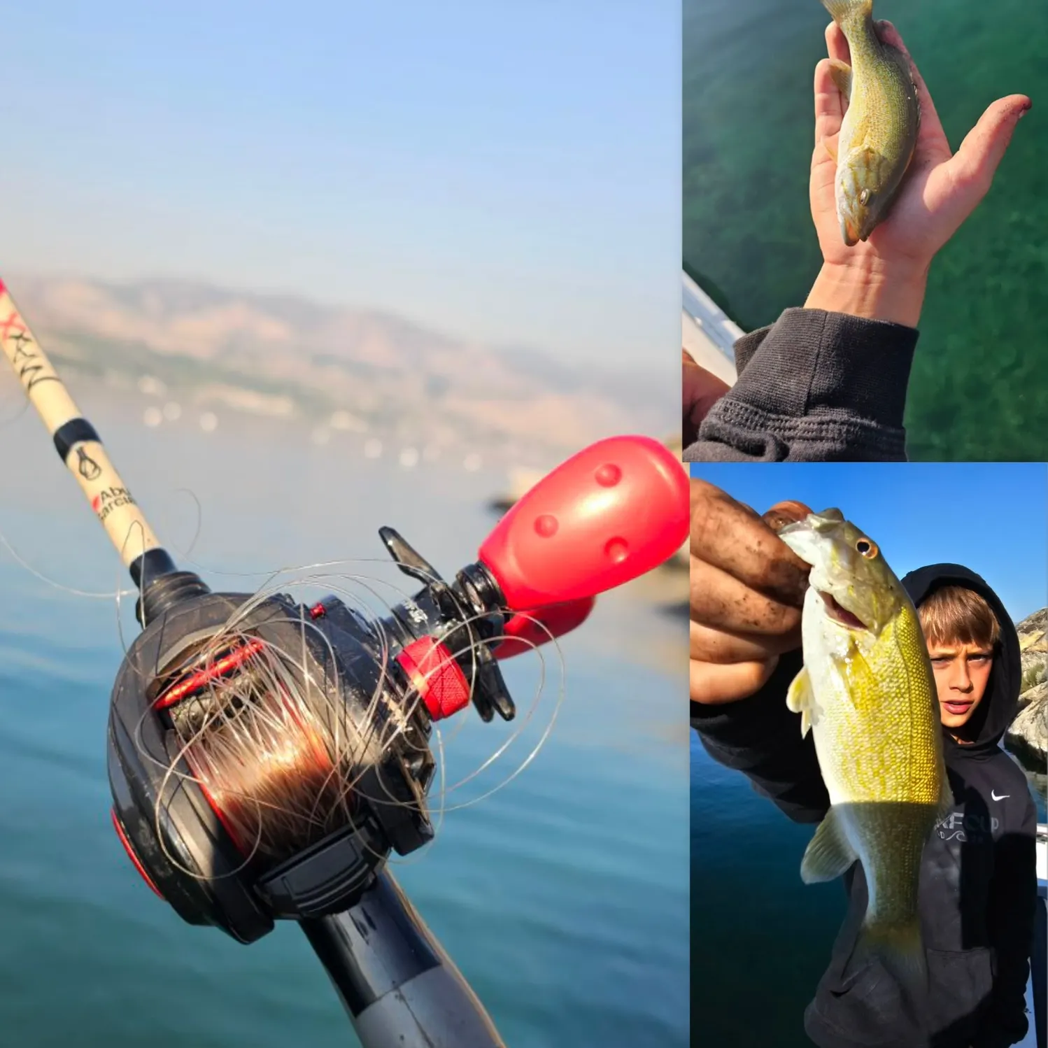 Smallmouth bass caught on Fishbrain