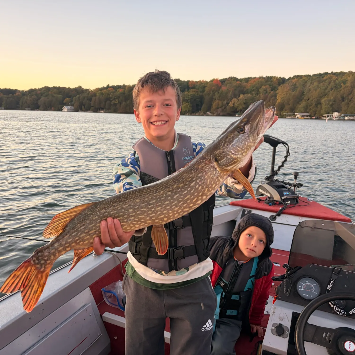 Northern pike caught on Fishbrain