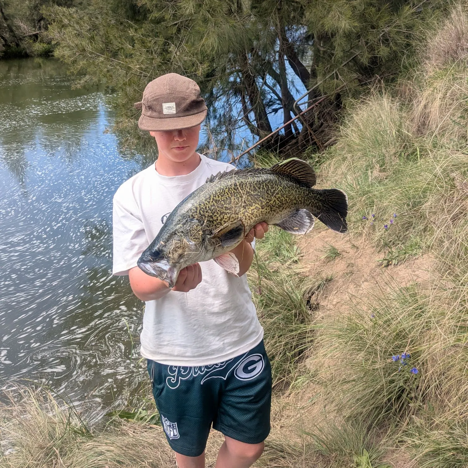 The most recent Murray cod catches on Fishbrain