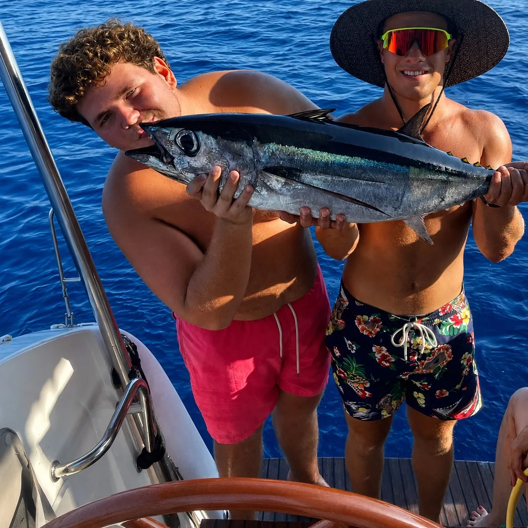 The most recent Southern bluefin tuna catches on Fishbrain