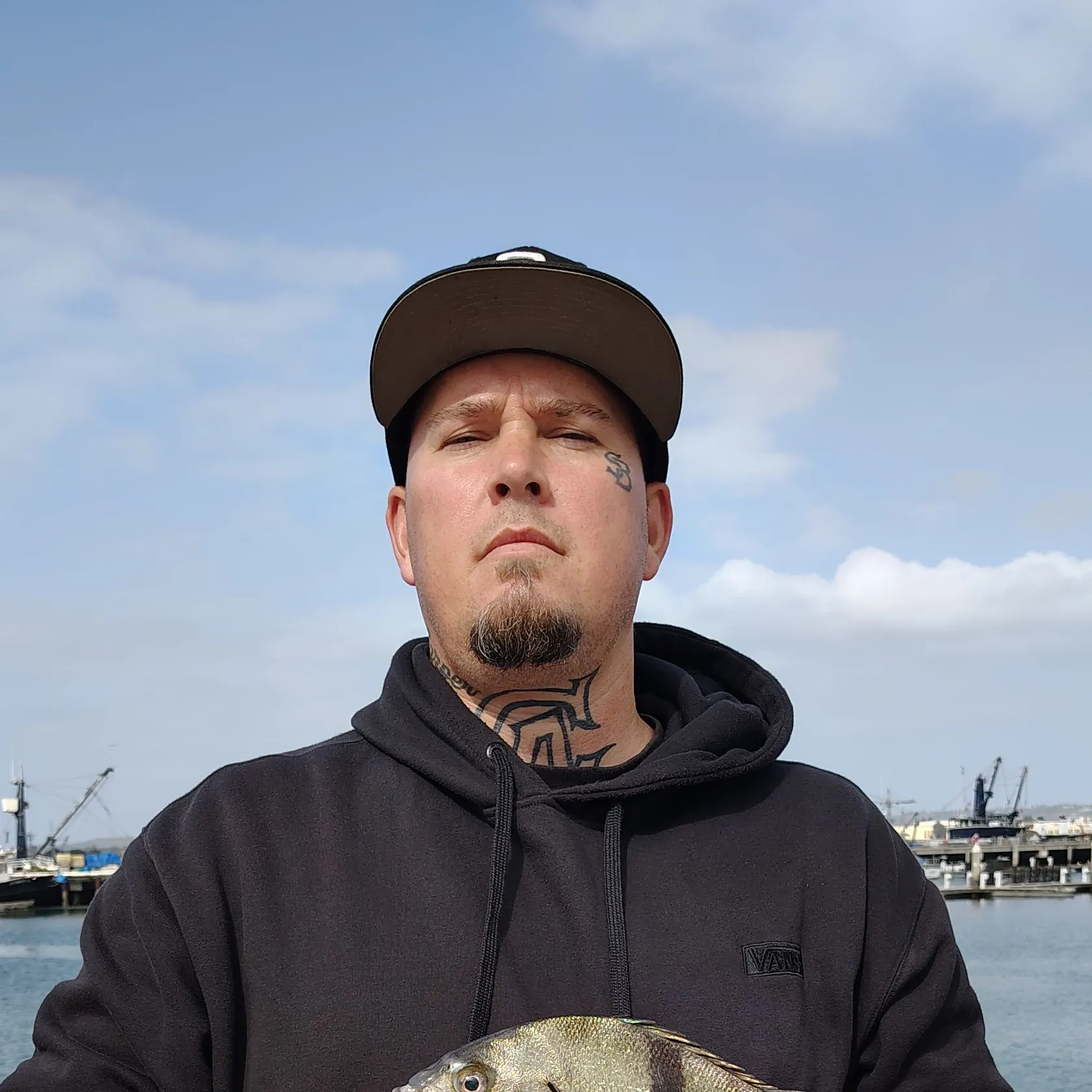 The most recent Sargo catches on Fishbrain